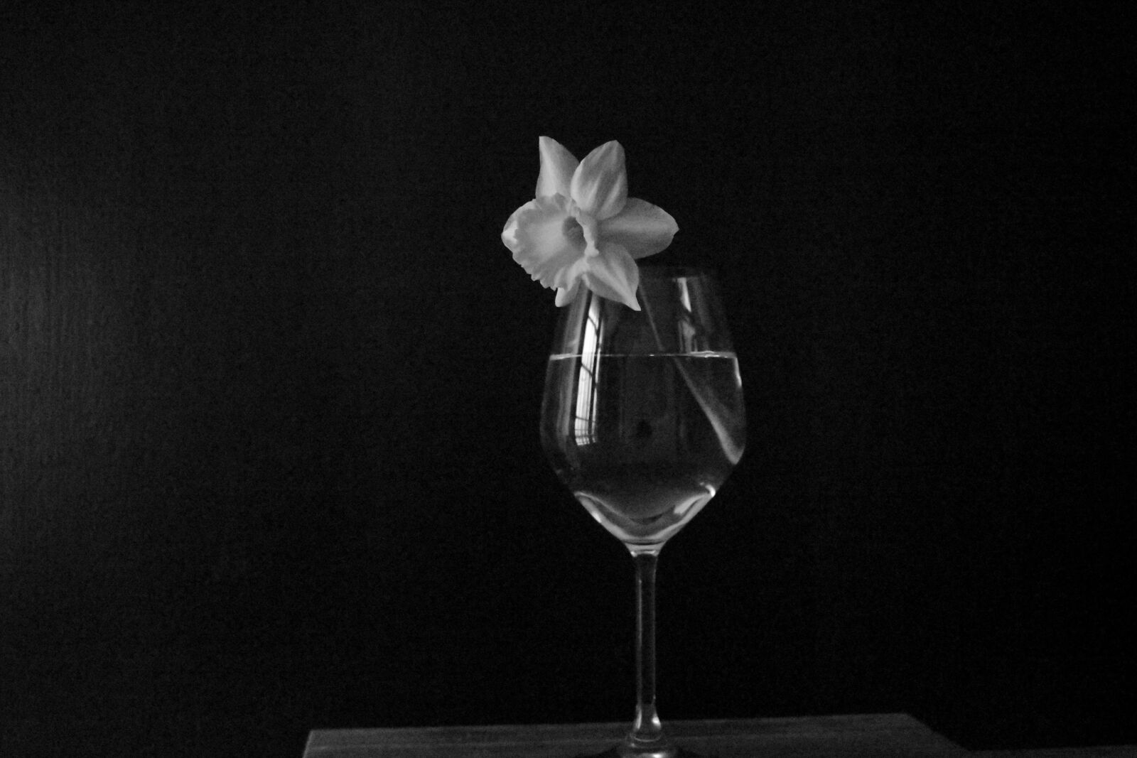 Nikon D3500 sample photo. Flower, glass, nature photography