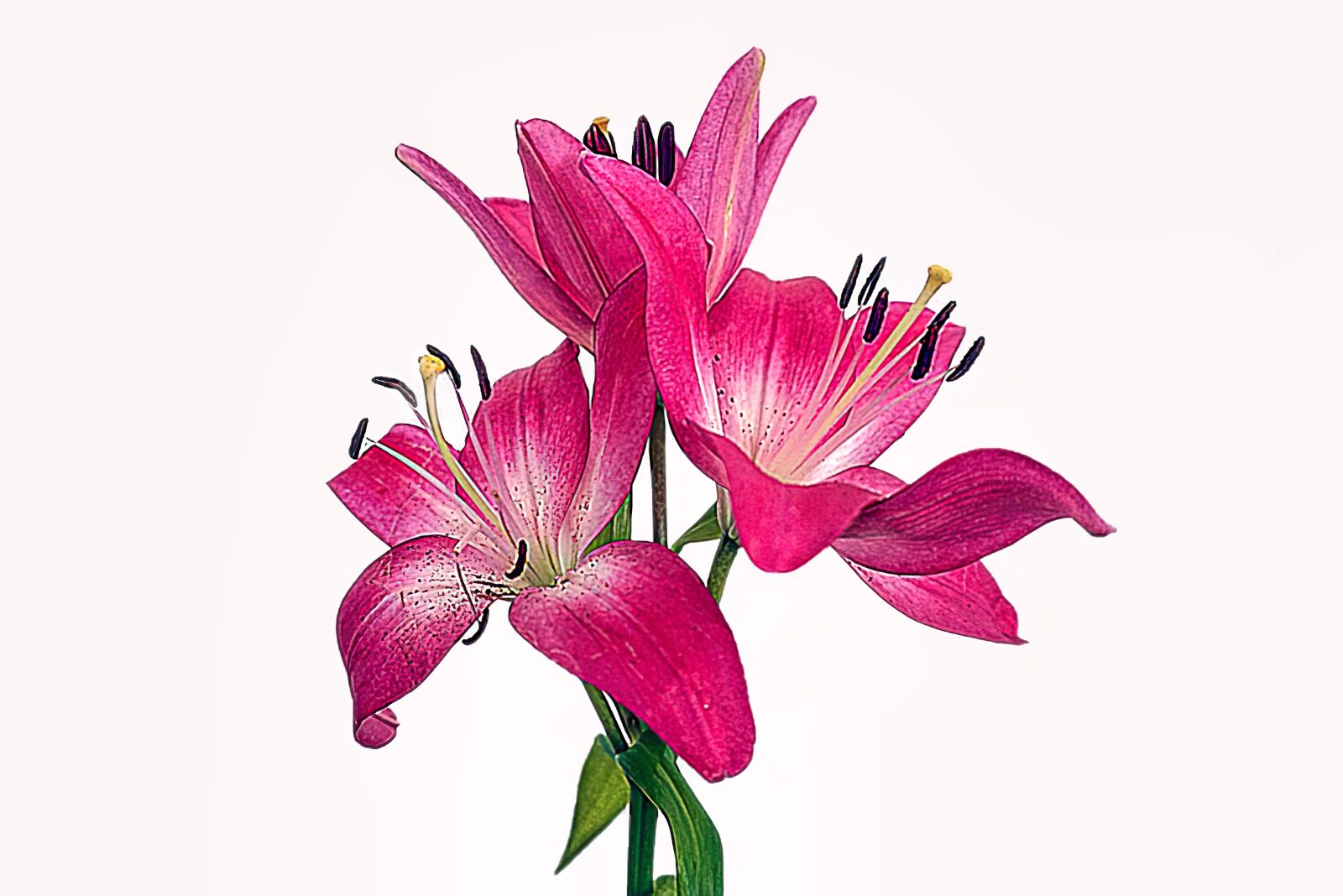 Sony a6300 sample photo. Sketch, color, color sketch photography