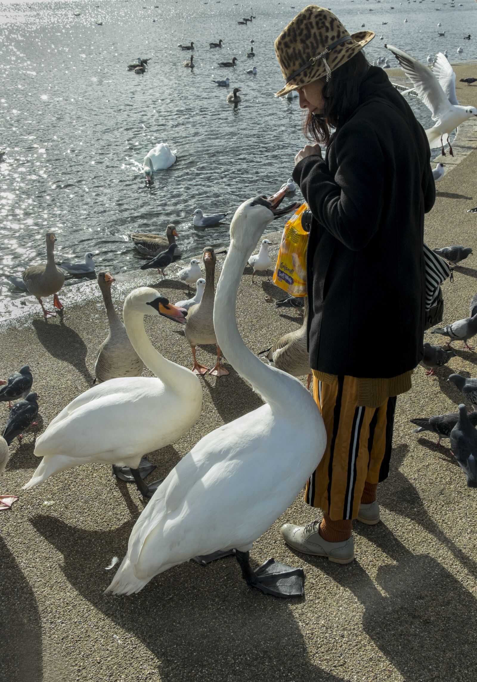 Fujifilm X-T1 sample photo. Water, people, nature photography