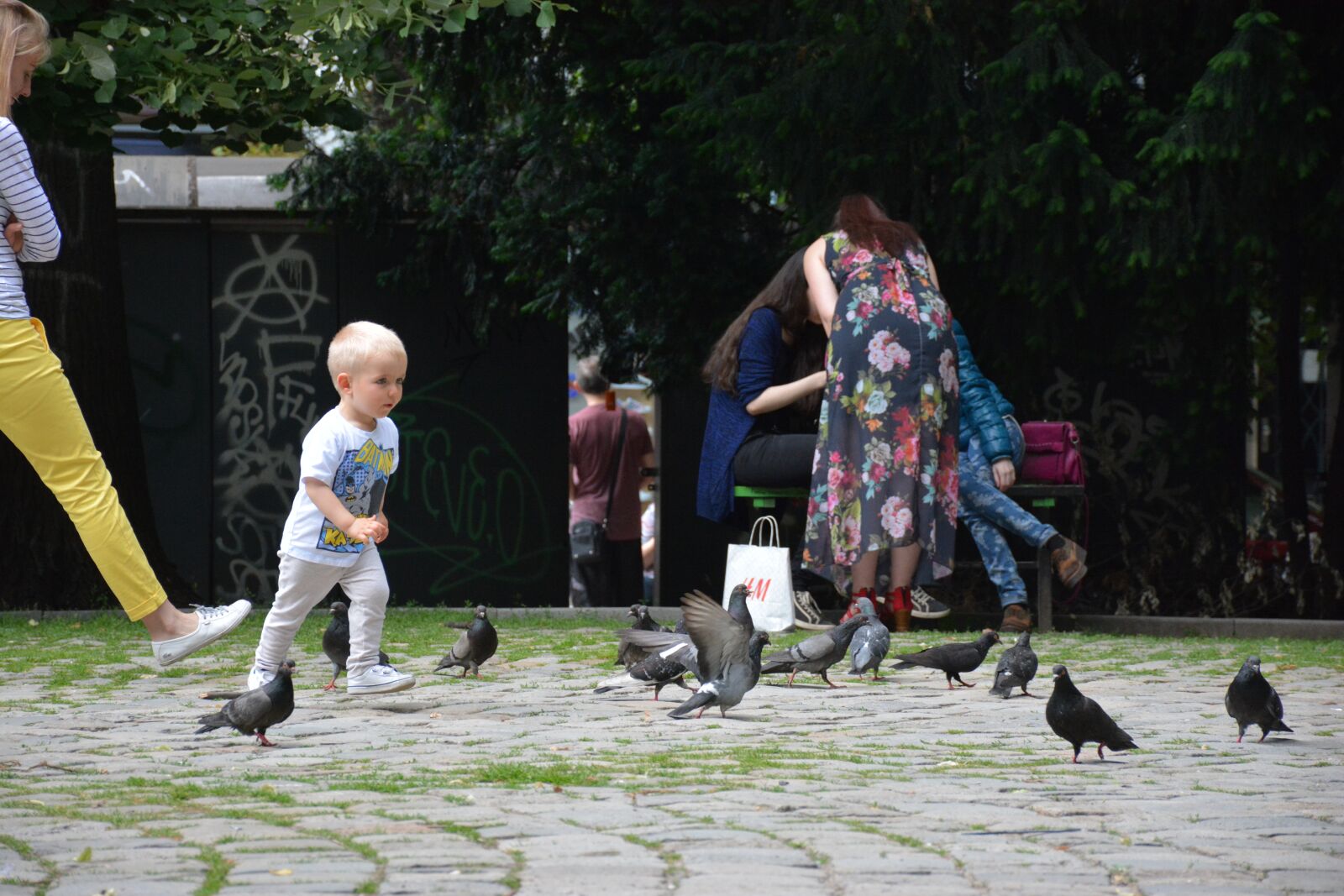Nikon D7100 sample photo. Kid, playing, pigeon photography