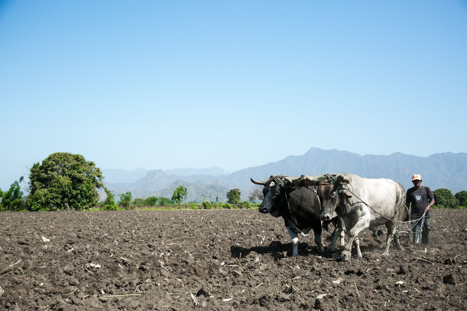Canon EF 24-105mm F4L IS USM sample photo. Agriculture, plow, rural photography