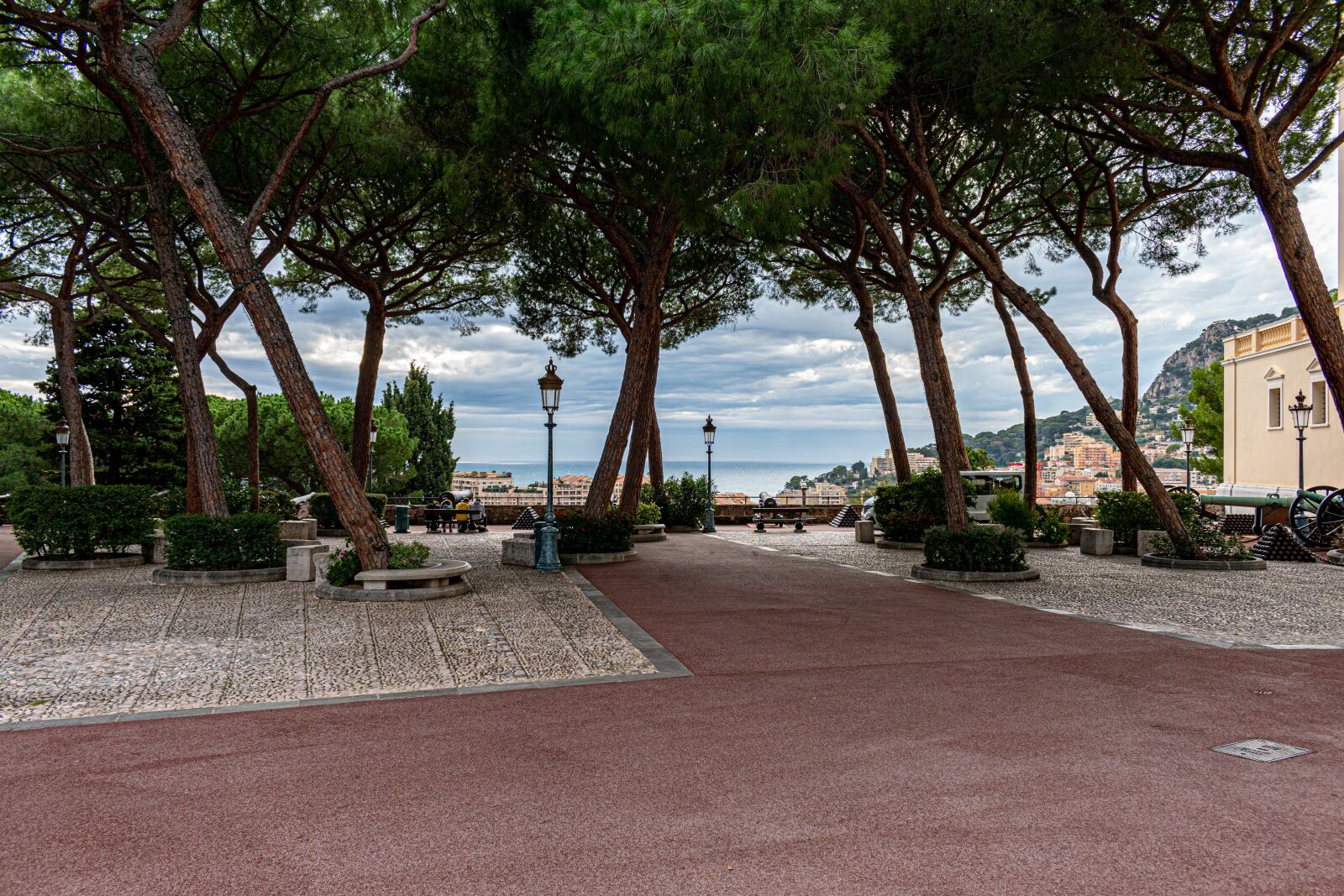 Nikon D5600 sample photo. Park, trees, sea photography