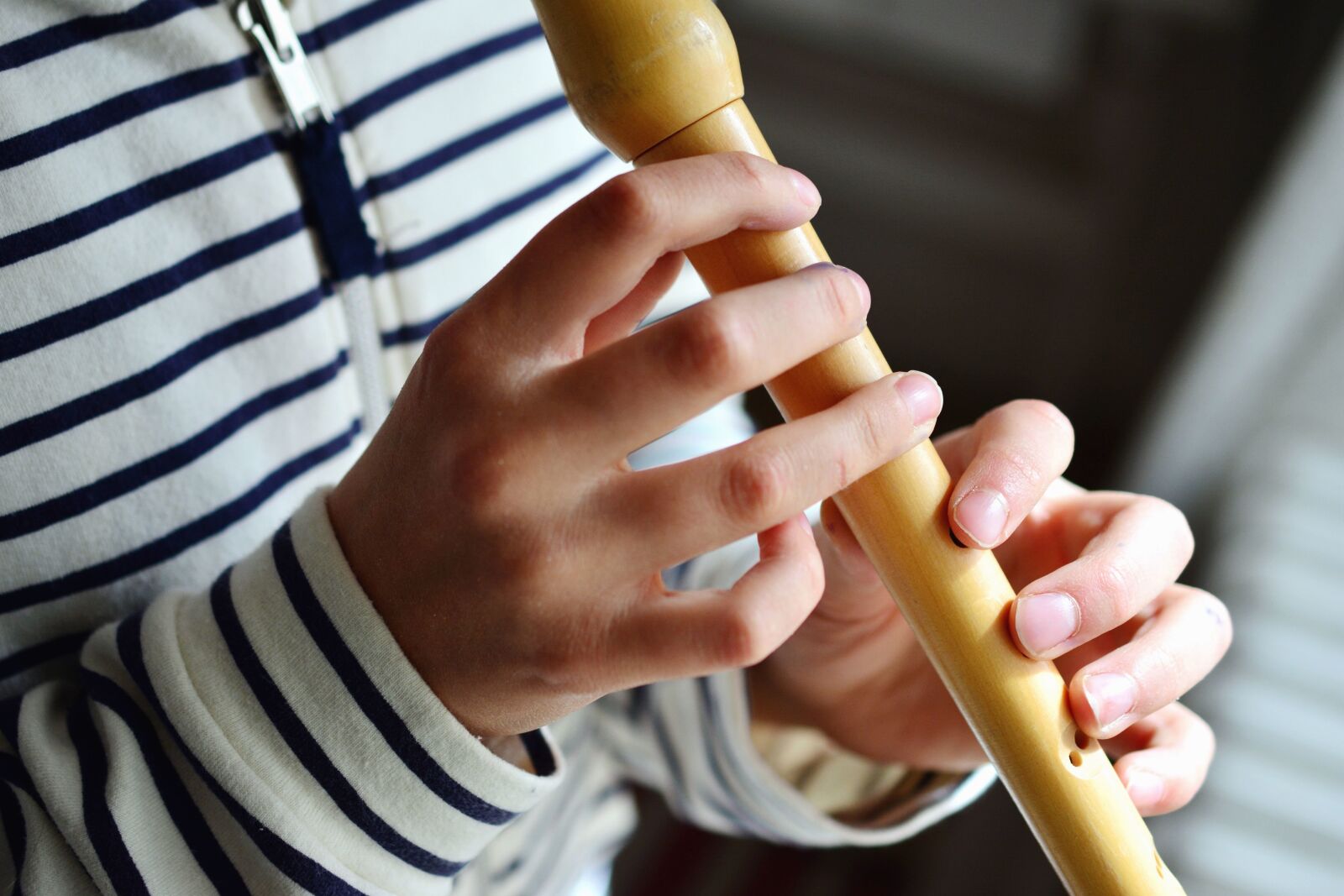 Nikon D5200 sample photo. Wind instrument, music, hand photography