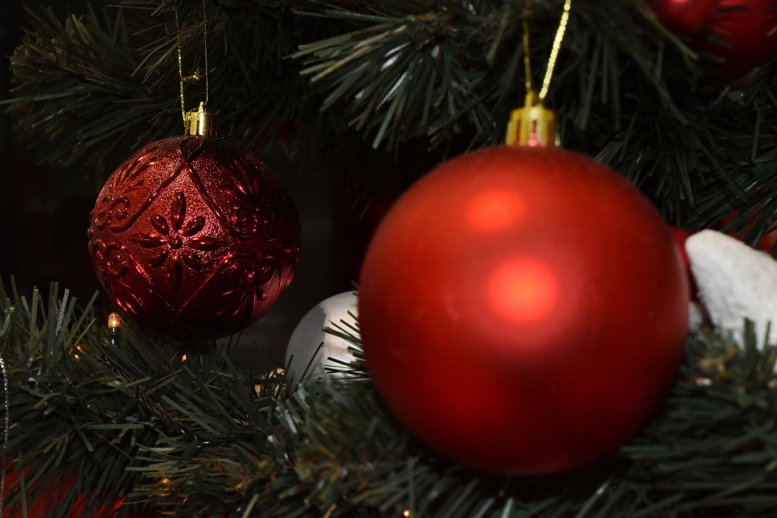 Nikon D5500 sample photo. Blur, christmas tree, focus photography