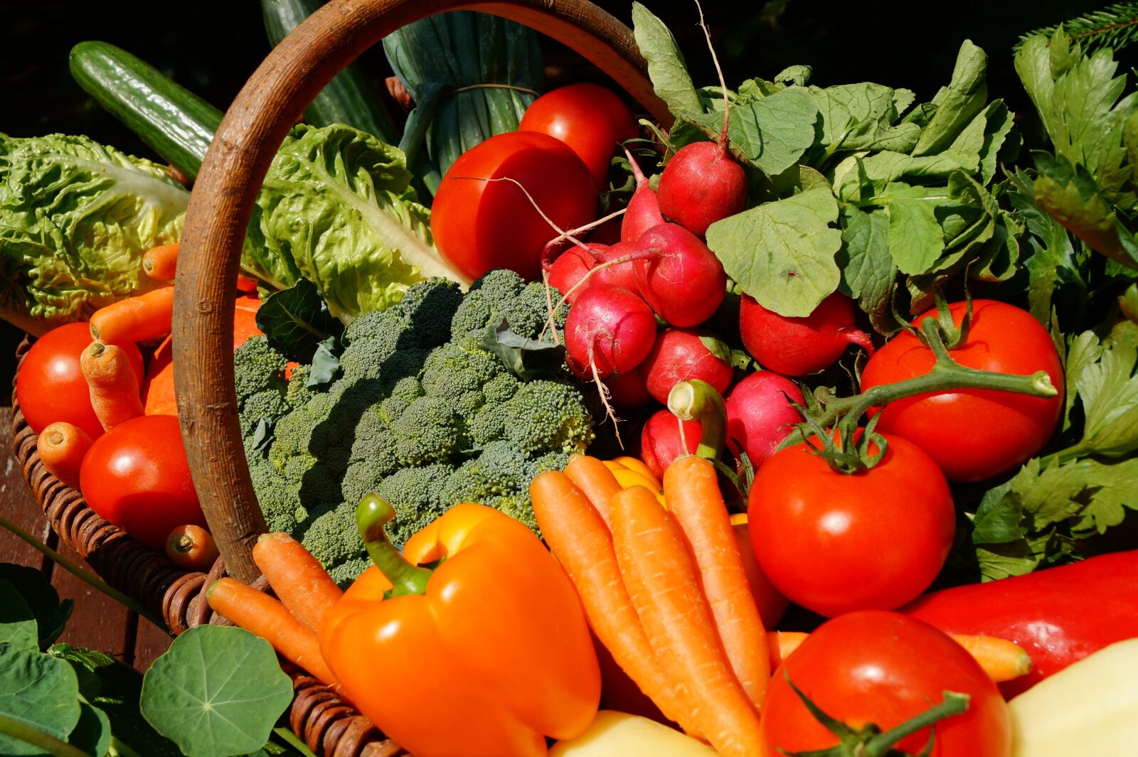 Sony DT 18-55mm F3.5-5.6 SAM II sample photo. Vegetables, vegetarian, tomatoes photography