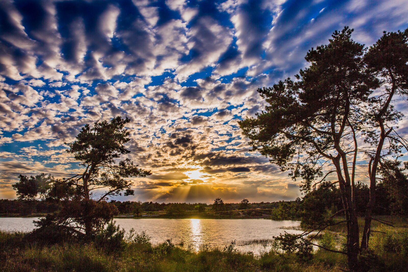 Canon EF 24-70mm F2.8L II USM sample photo. Sunset, heide, nature photography