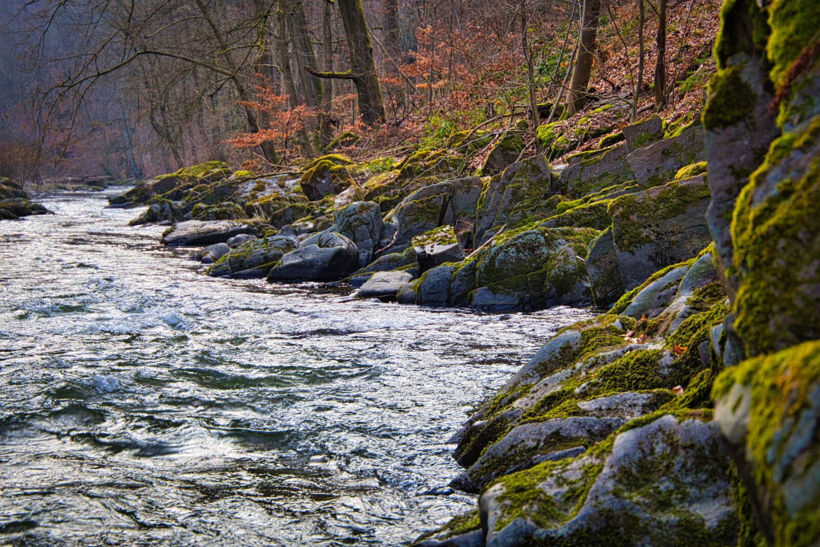 Canon EF 24-105mm F3.5-5.6 IS STM sample photo. River, schwarza, thuringia germany photography