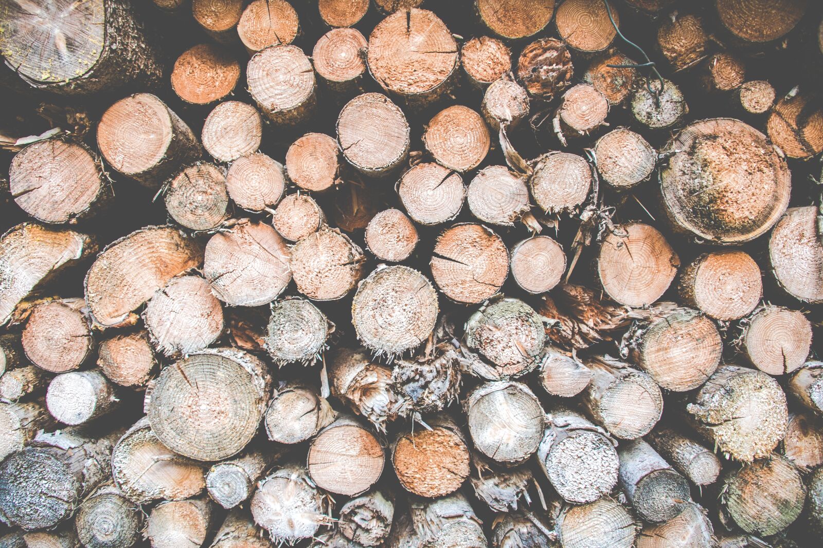 DT 18-300mm F3.5-6.3 sample photo. Wood, logs, firewood photography