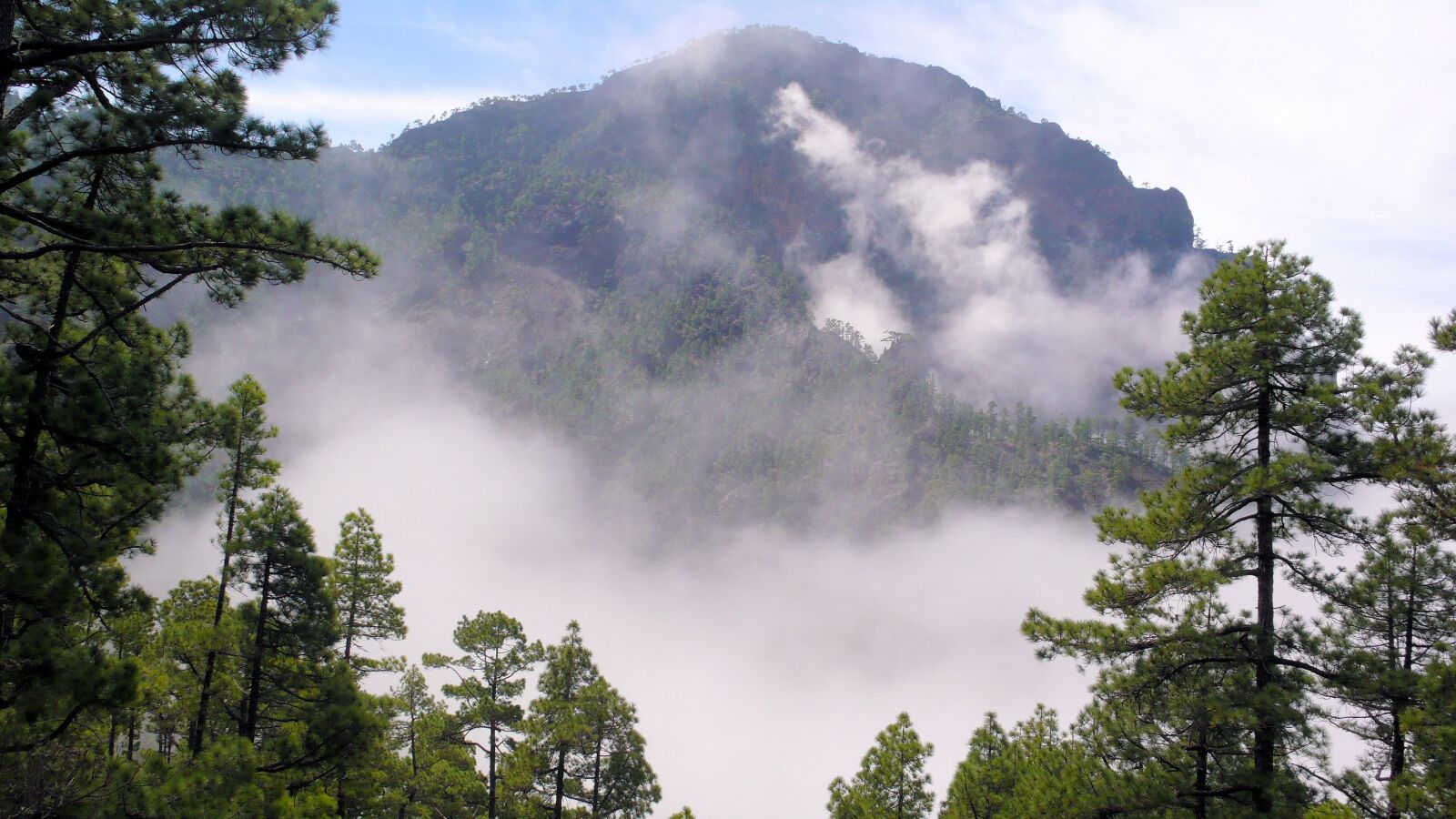 Panasonic DMC-LX2 sample photo. La palma, landscape, fog photography