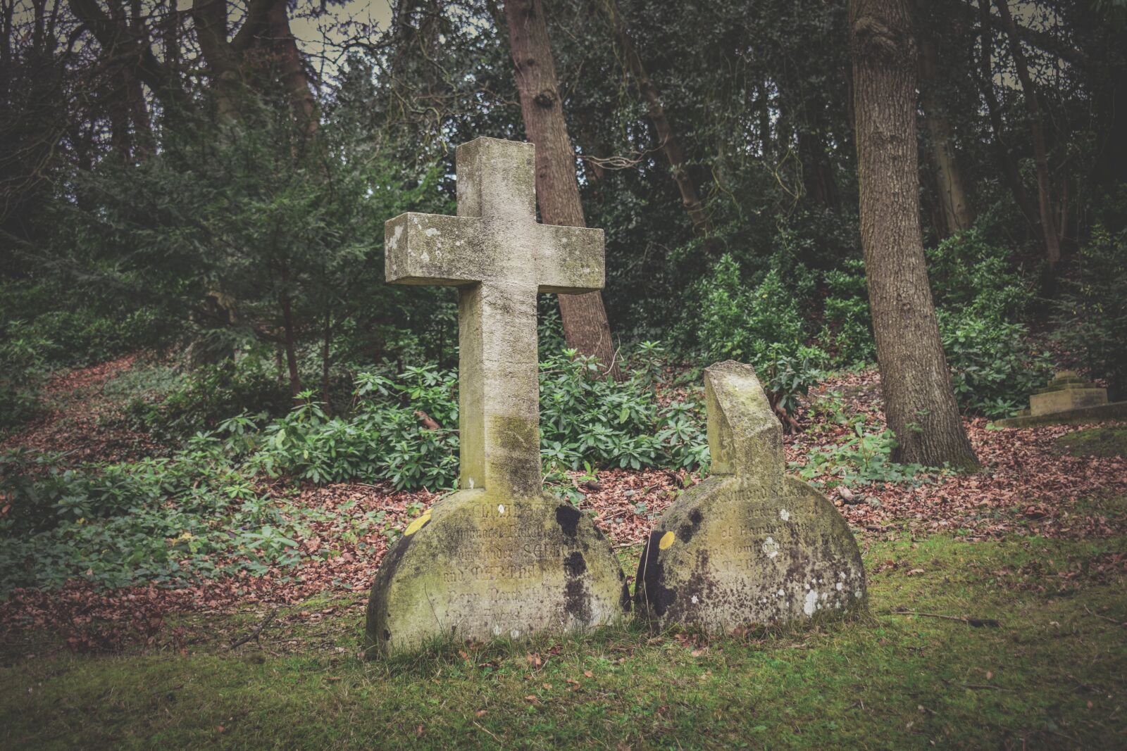 Nikon D3300 sample photo. Cemetery, old, cross photography