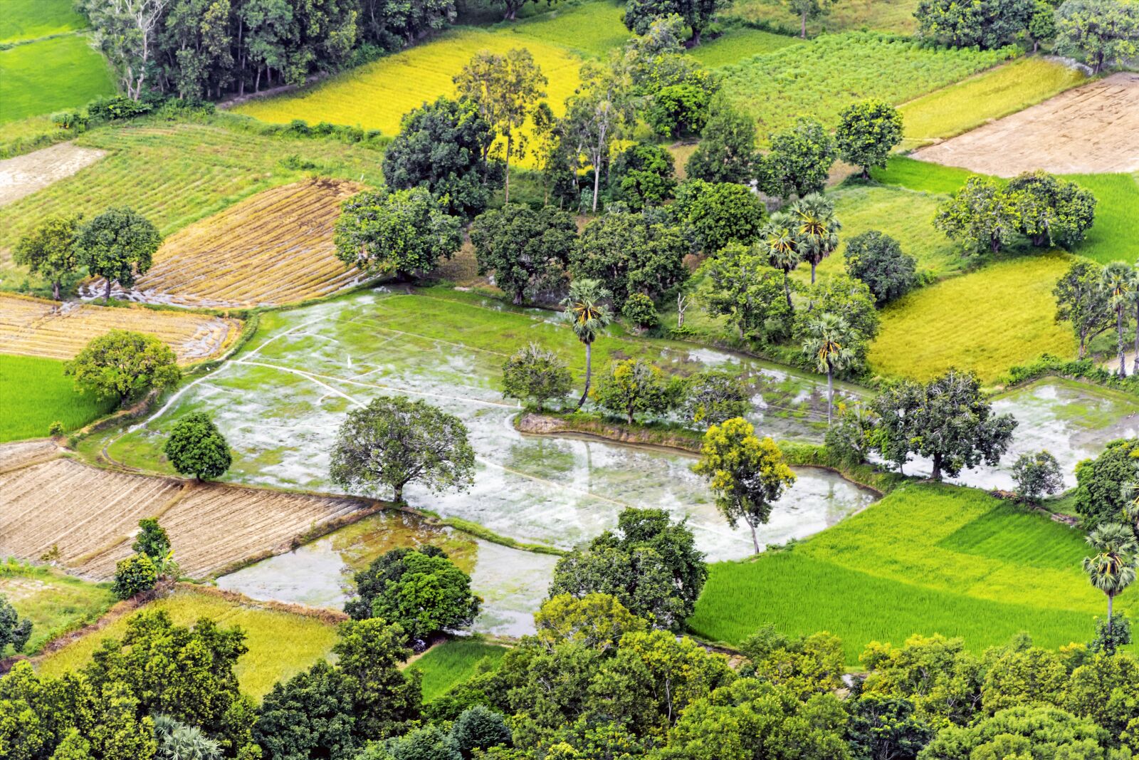 Canon EOS 7D Mark II sample photo. Landscape, nature, green photography