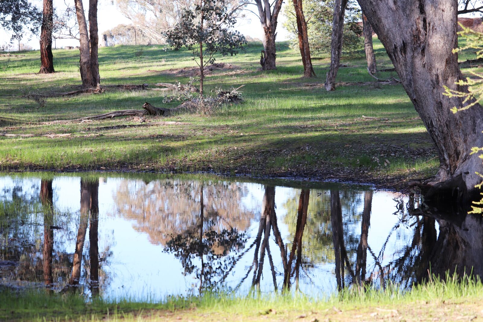 Canon EF-S 55-250mm F4-5.6 IS STM sample photo. Scenery, australian, lake photography