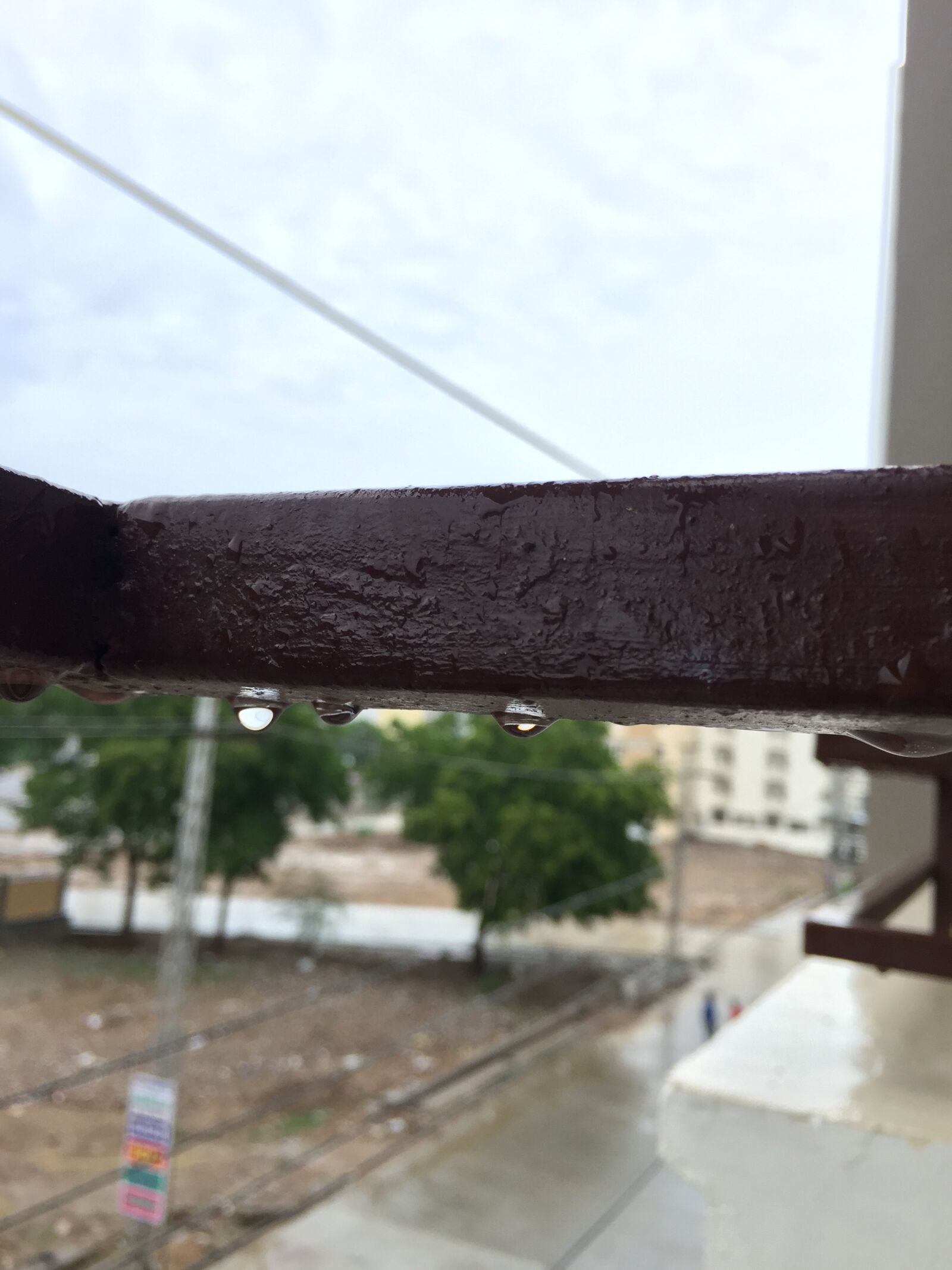 Apple iPhone 6 sample photo. After, rain, close, up photography