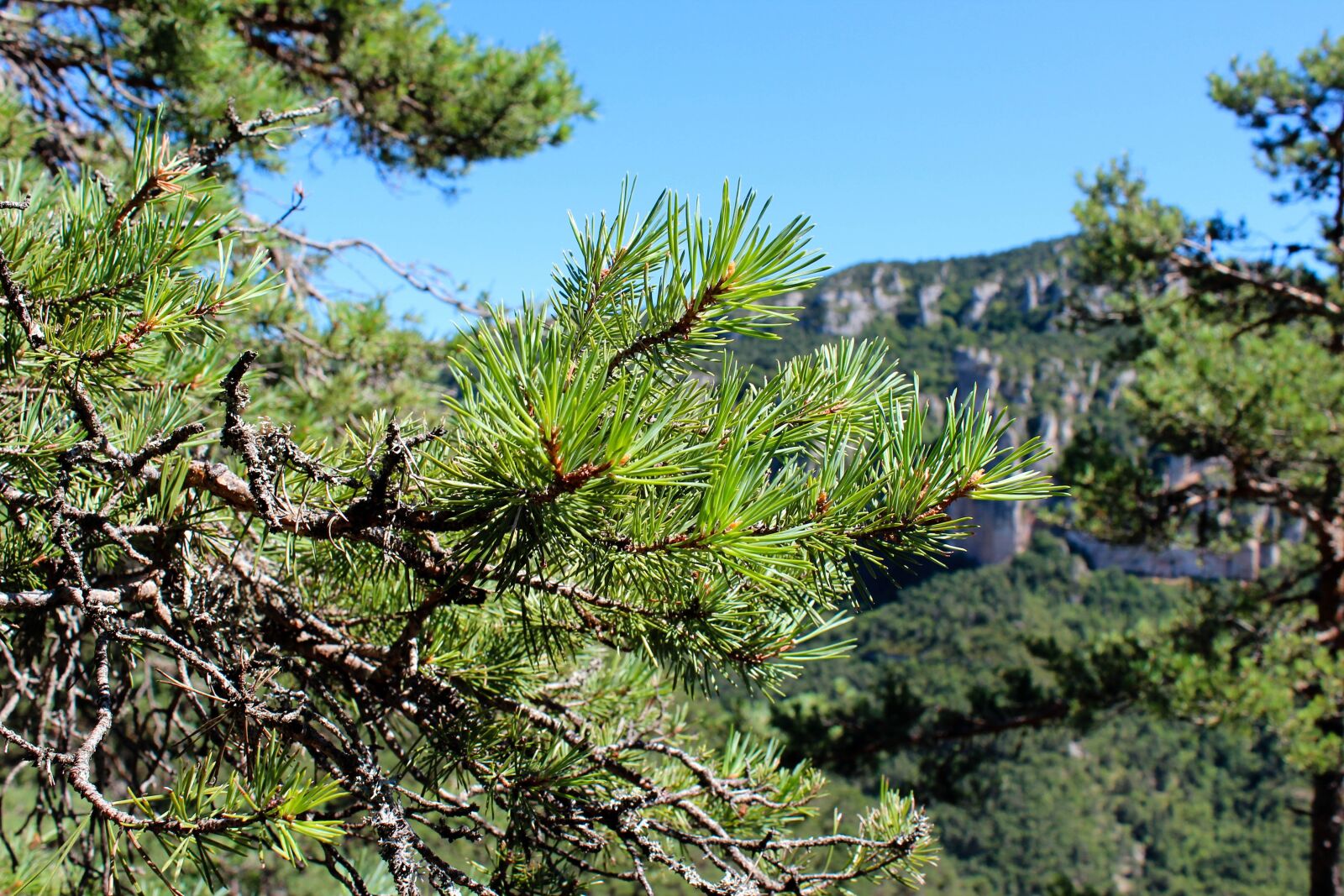 Canon EOS 600D (Rebel EOS T3i / EOS Kiss X5) sample photo. Mountains, vista, south of photography