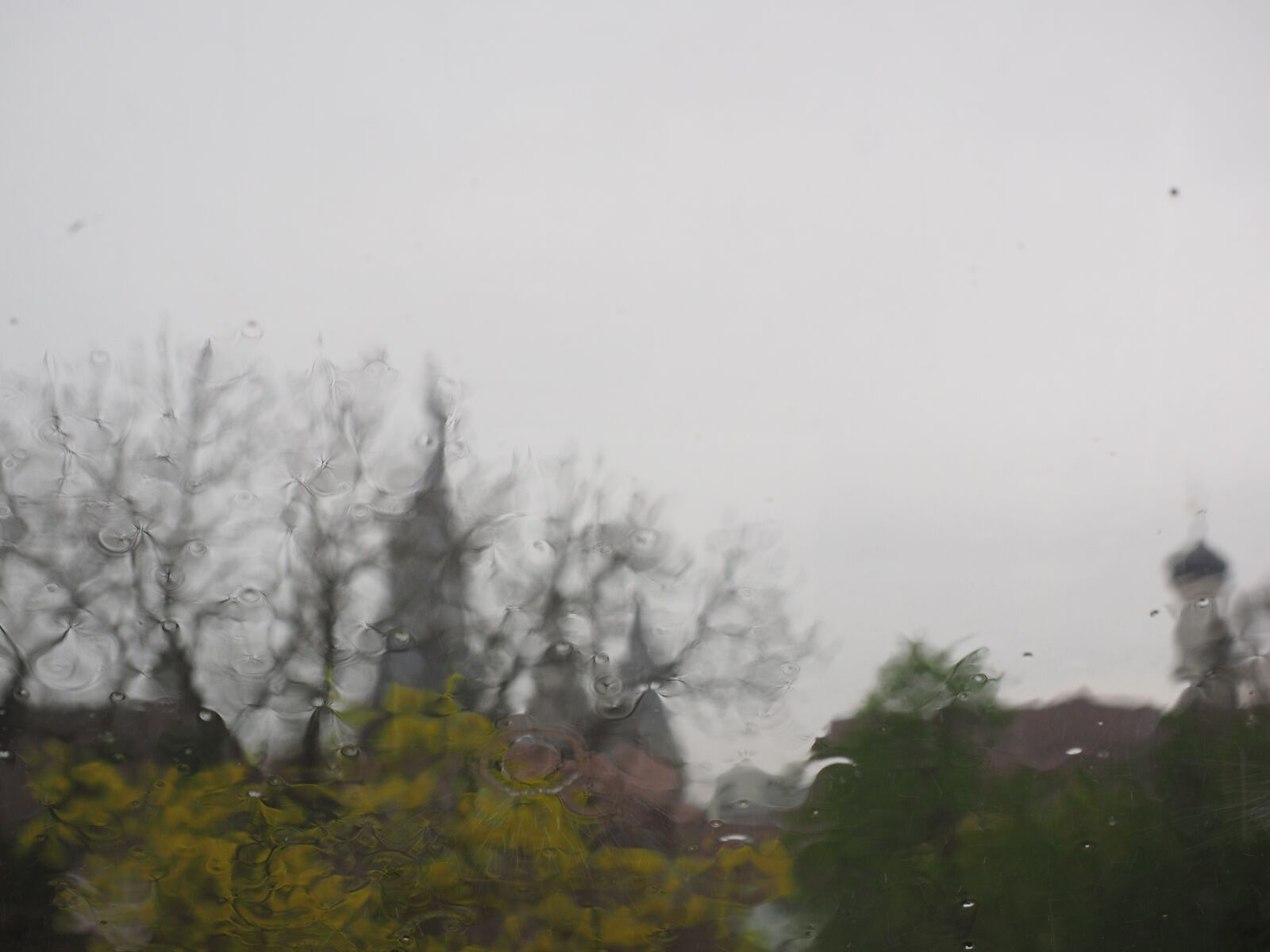 Olympus OM-D E-M1 + Olympus M.Zuiko Digital ED 12-40mm F2.8 Pro sample photo. Rainy weather, ulm, rain photography