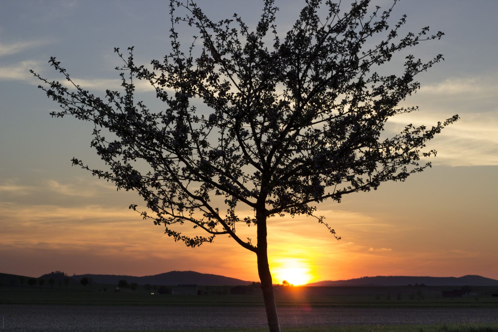 Canon EOS 600D (Rebel EOS T3i / EOS Kiss X5) + Canon EF 50mm F1.8 STM sample photo. Sun, evening sun, sunset photography