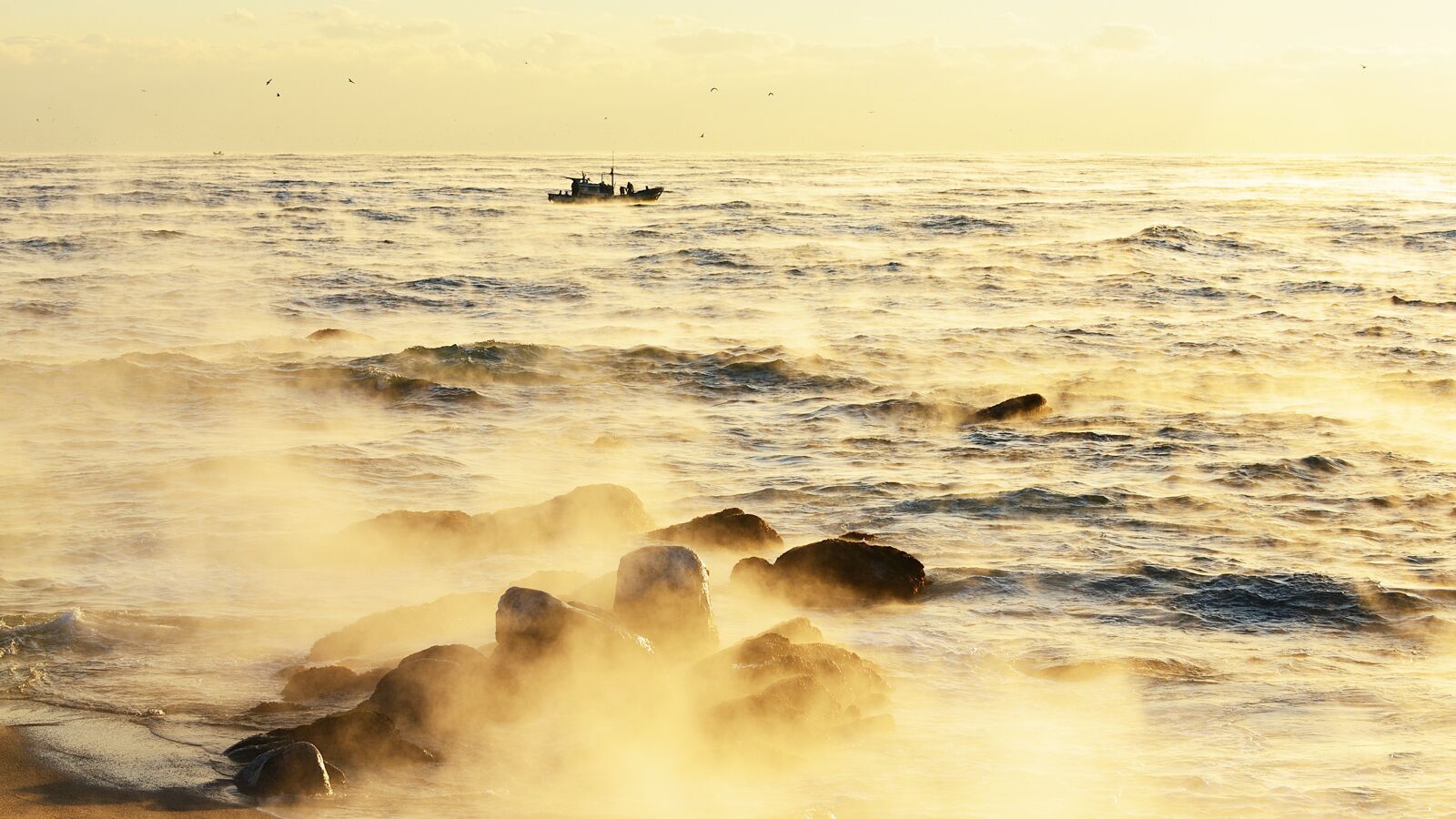 Nikon D800 sample photo. Sea, beach, coast photography