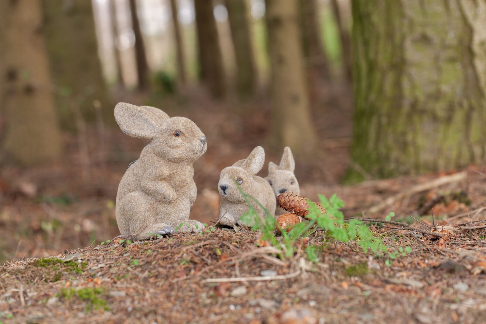 Включи хрум зайцы. Заяц в лесу. Заяц Лесной. Заяц в осеннем лесу. Зайчата в лесу.
