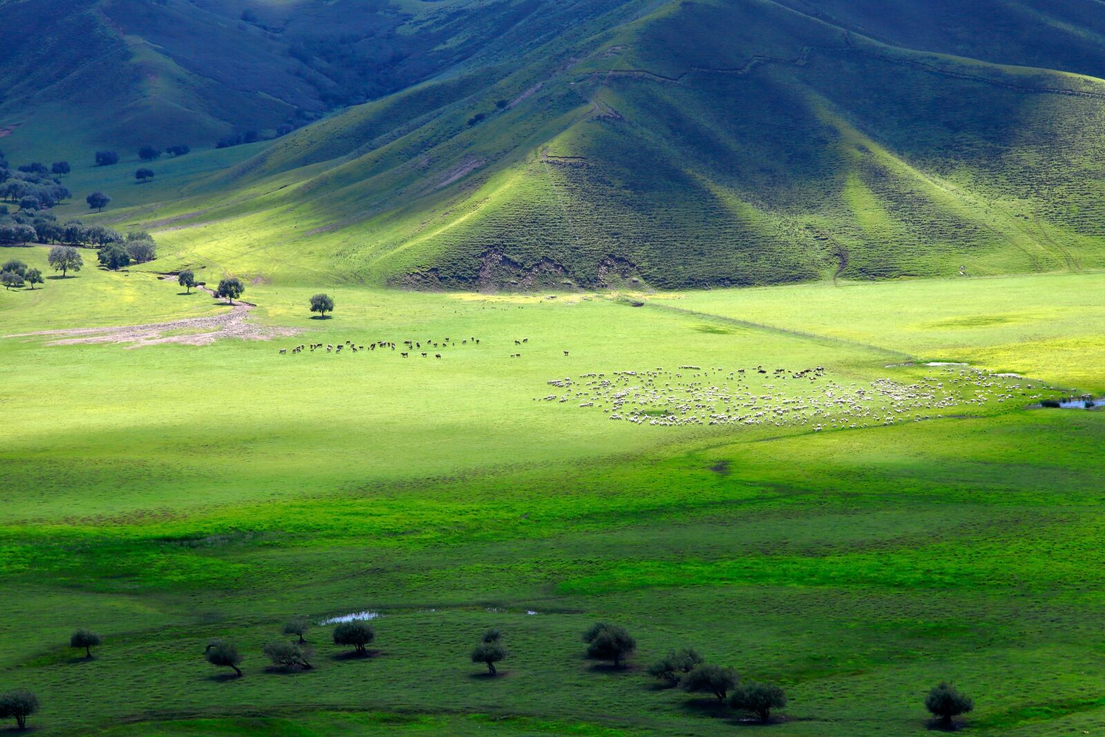 Canon EOS 5D Mark II sample photo. Inner mongolia, horqin, prairie photography