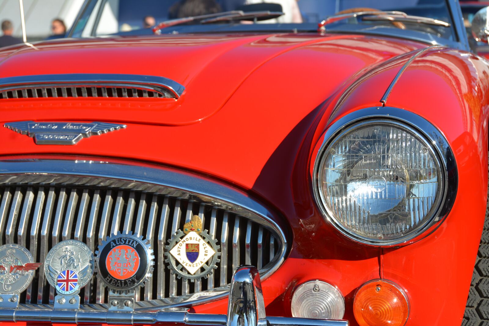 Nikon D7100 sample photo. Austin healey, car, automobile photography