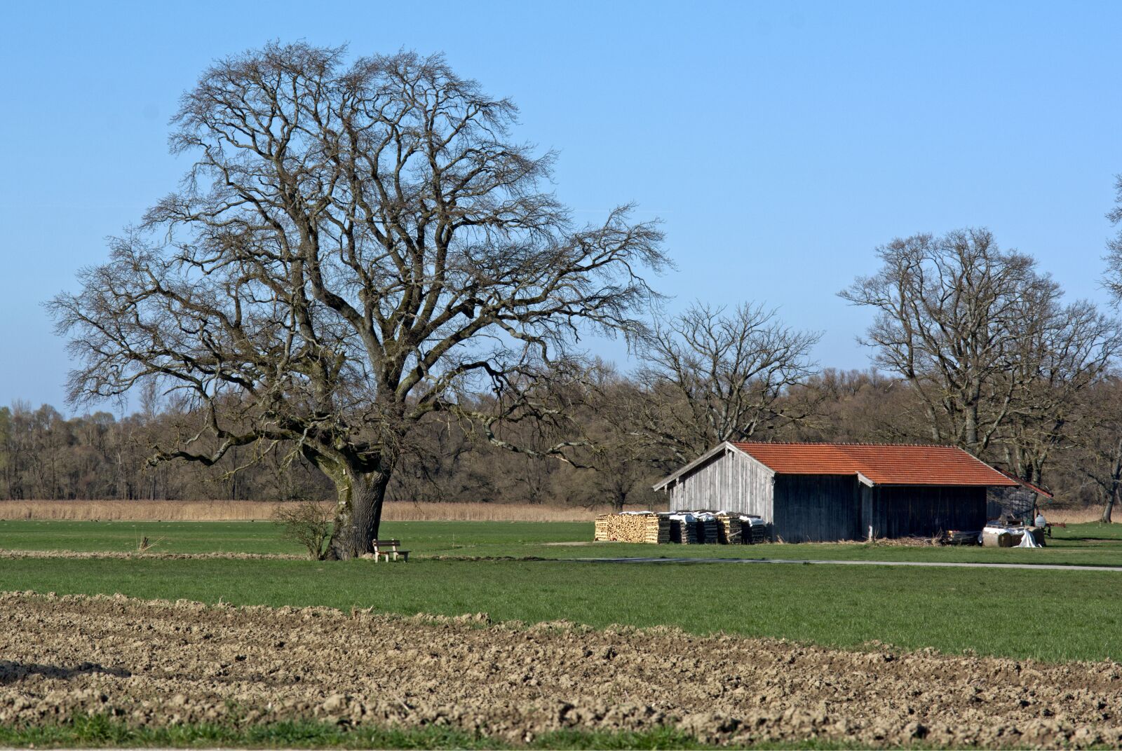 55.0-200.0mm f/4.0-f/5.6 sample photo. Landscape, nature, chiemgau photography