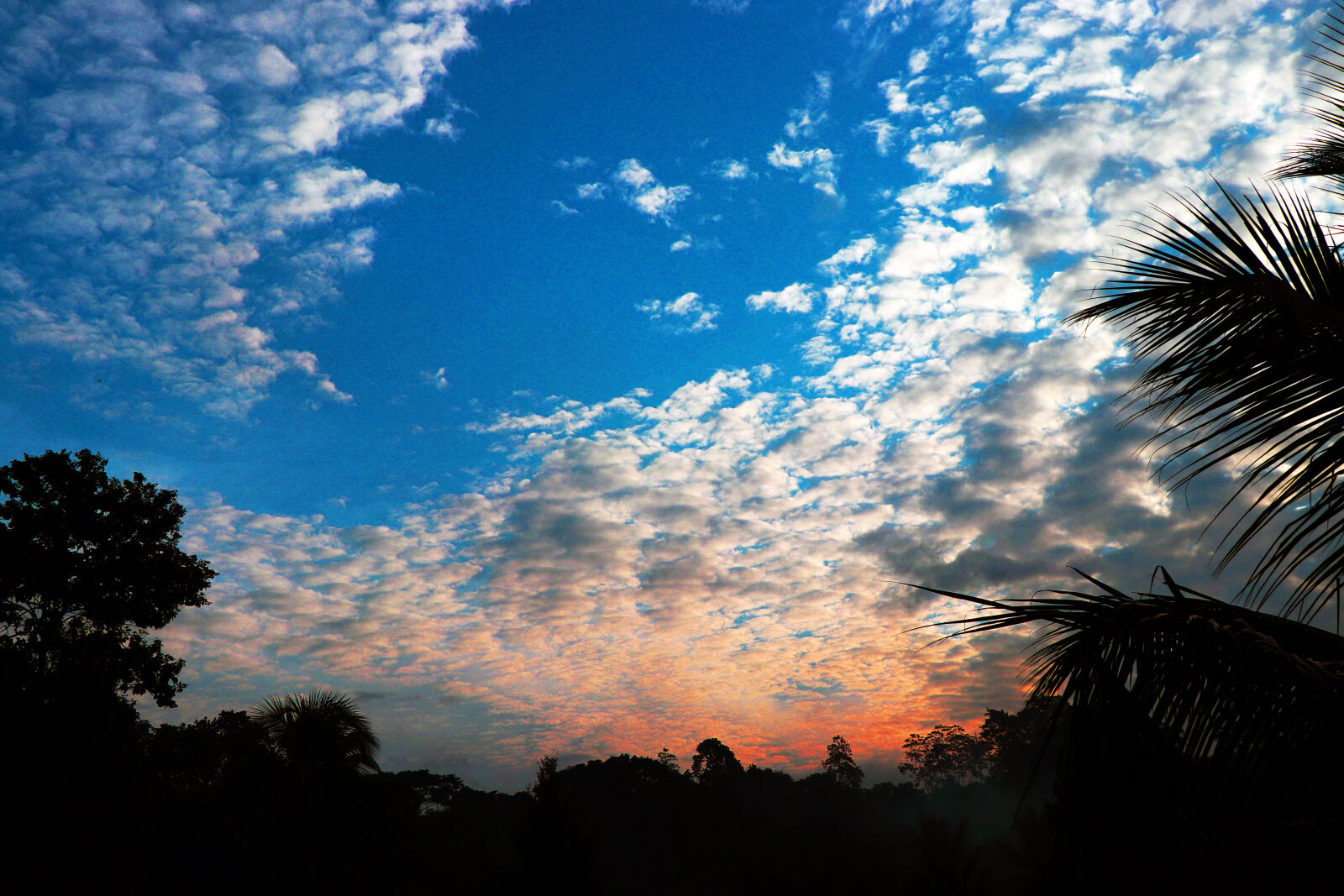 Canon EF-S 18-135mm F3.5-5.6 IS USM sample photo. Morning, sky photography
