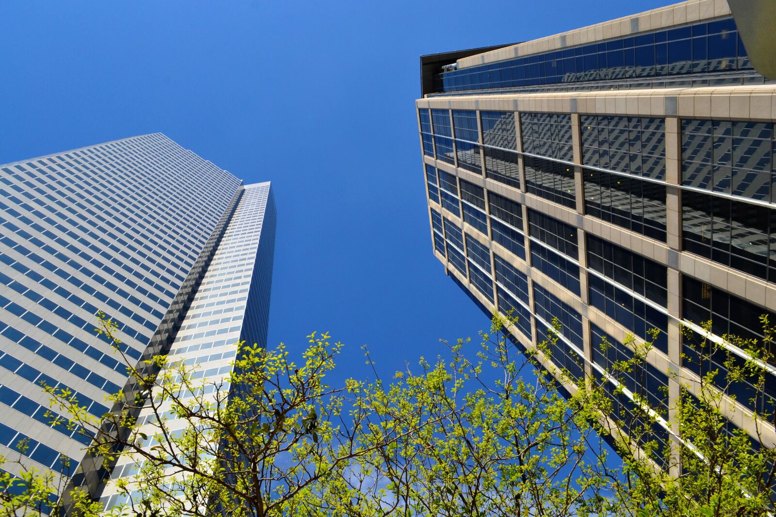 Nikon D3100 sample photo. Business district, skyline, houston photography
