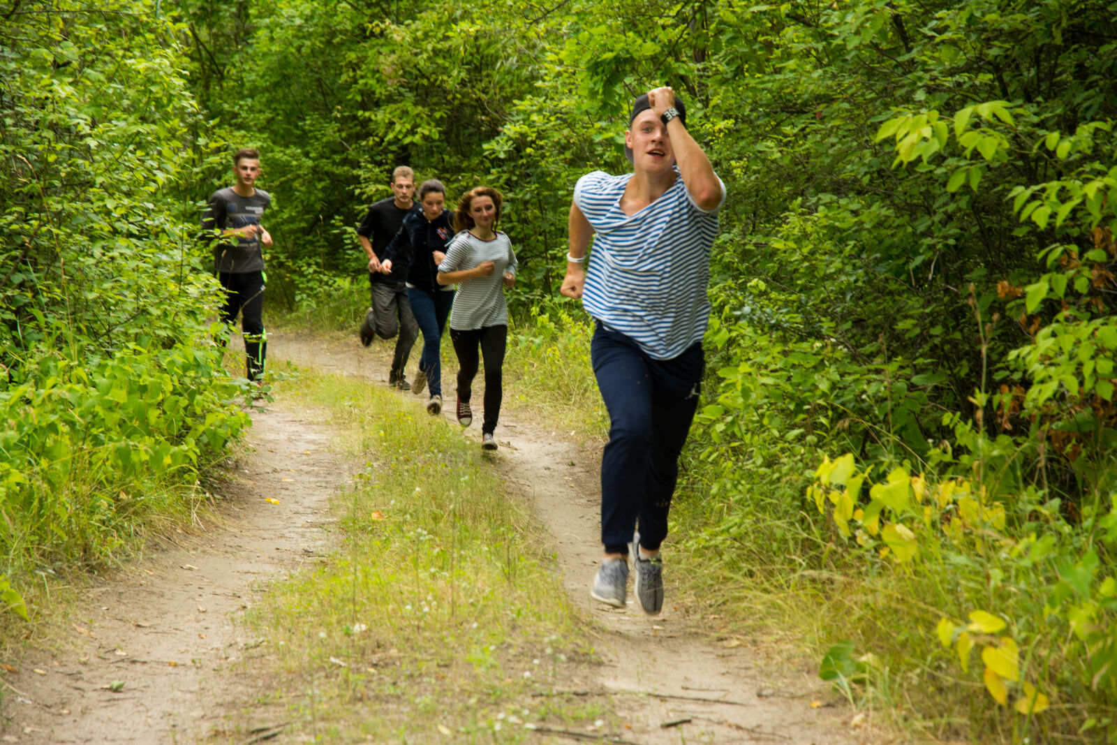 Nikon D7100 sample photo. Camp, dip, forest, pine photography
