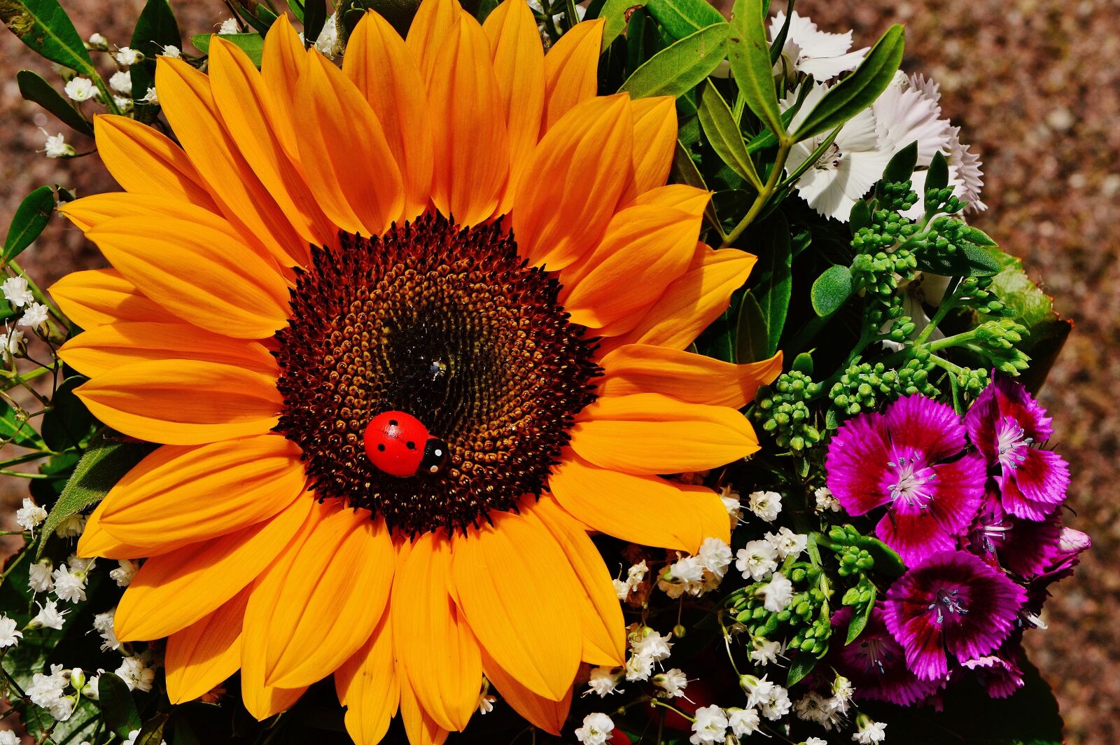 Nikon D3200 sample photo. Bouquet, sunflower, summer photography