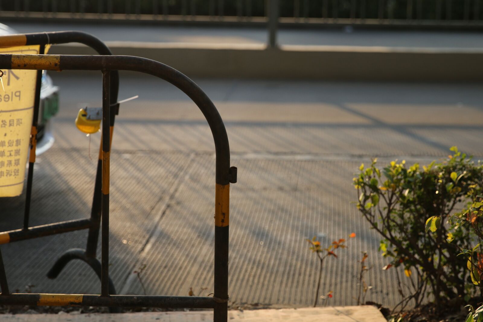 Canon EOS 70D + Canon EF 24-70mm F2.8L II USM sample photo. Road, yellow, light photography
