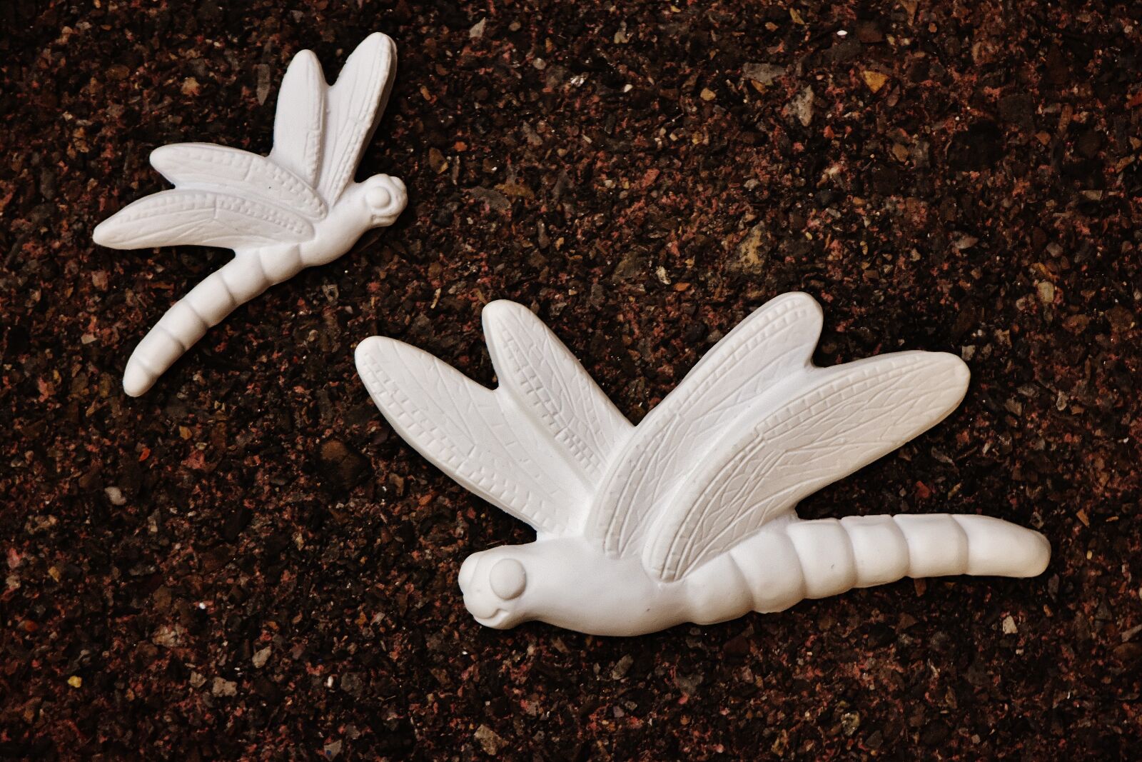 Nikon D7200 sample photo. Dragonflies, gypsum, blank photography