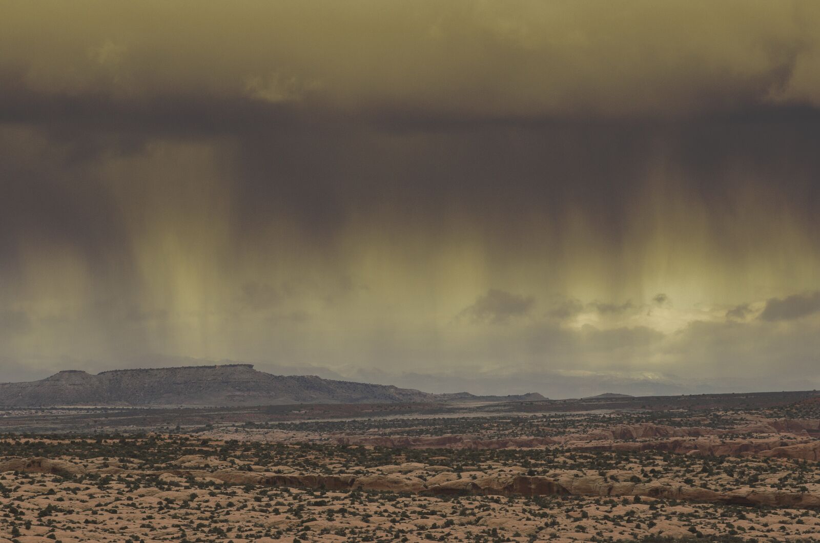 Nikon D7000 sample photo. Storm, rain, desert photography