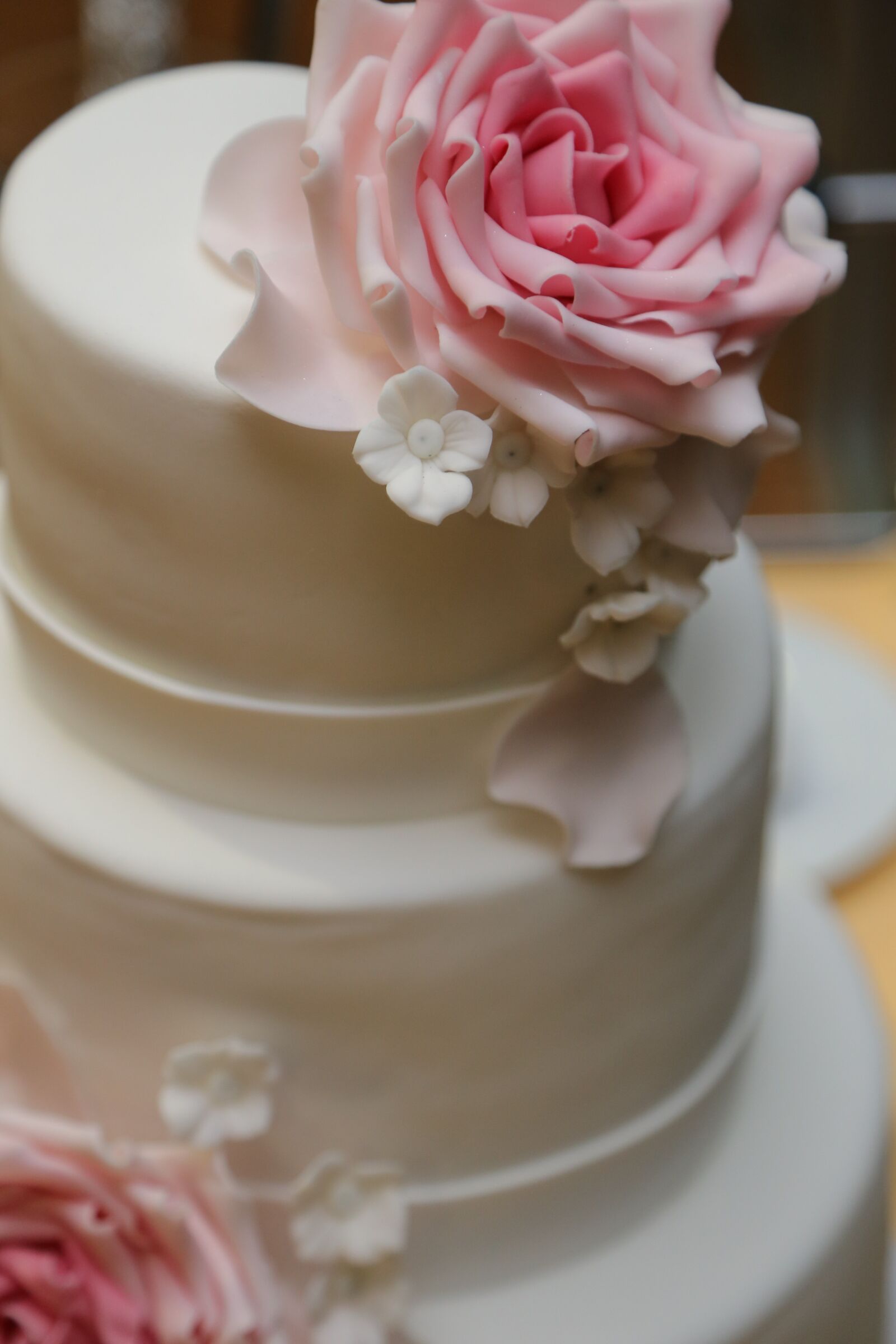 Canon EF 24-105mm F4L IS USM sample photo. Cake, wedding cake, romantic photography