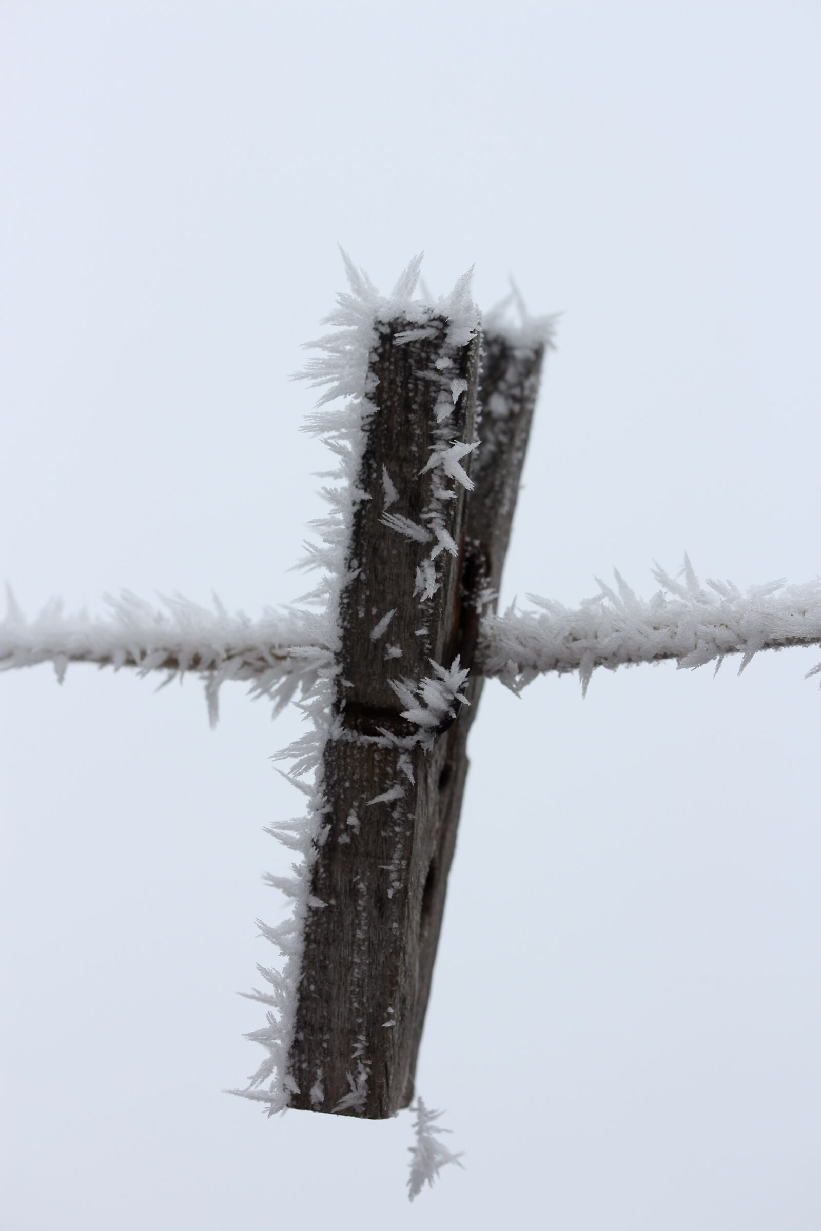 Canon EF-S 60mm F2.8 Macro USM sample photo. Hook, frozen, rime photography