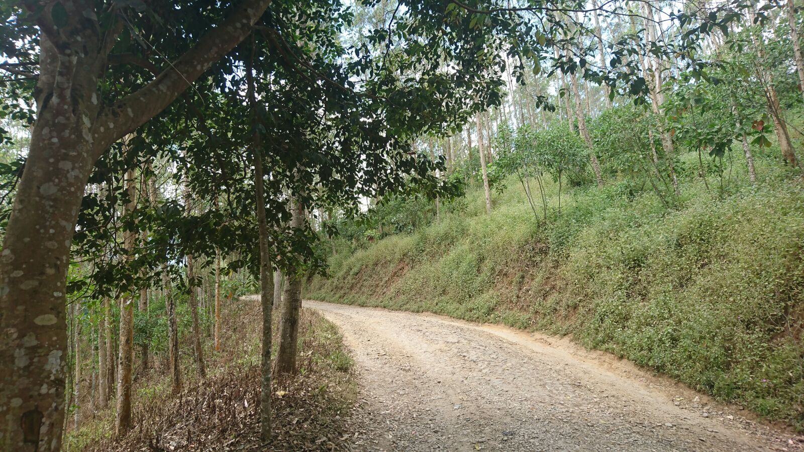 Sony Xperia XZ sample photo. Street, hangout, indonesia photography