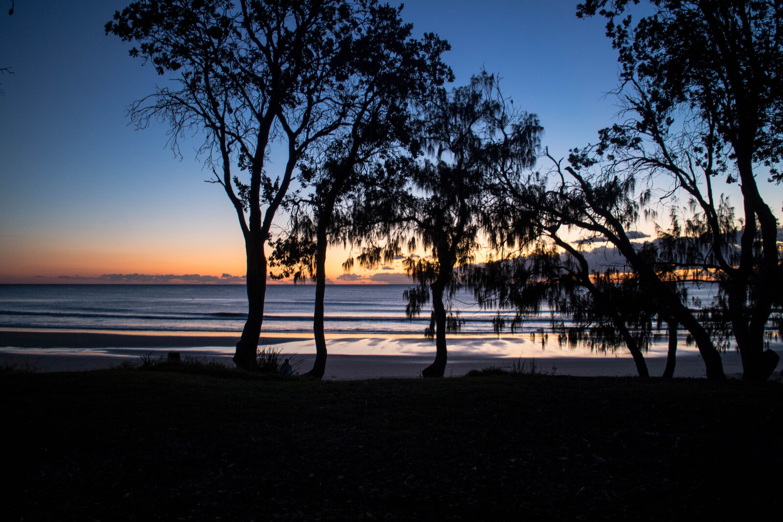 Canon EOS M2 sample photo. Silhouette, trees, on, beach photography