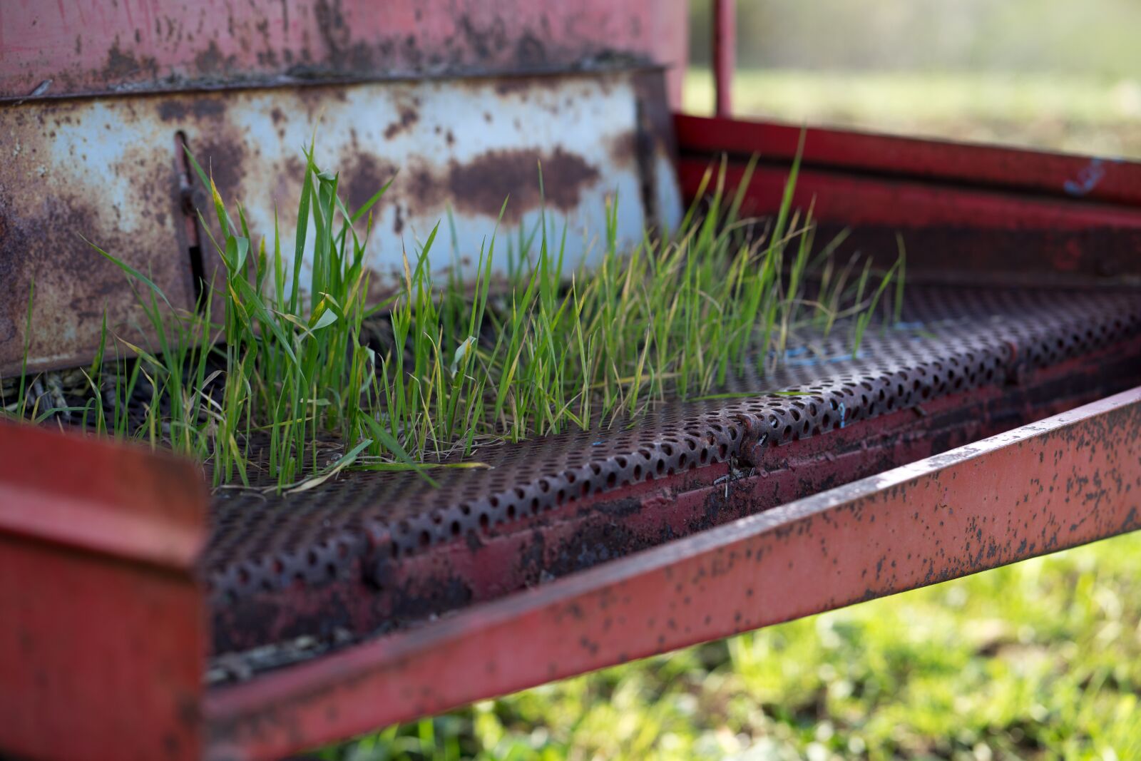 Sony a7 II + Sony FE 85mm F1.8 sample photo. Grass, garden, tractor photography