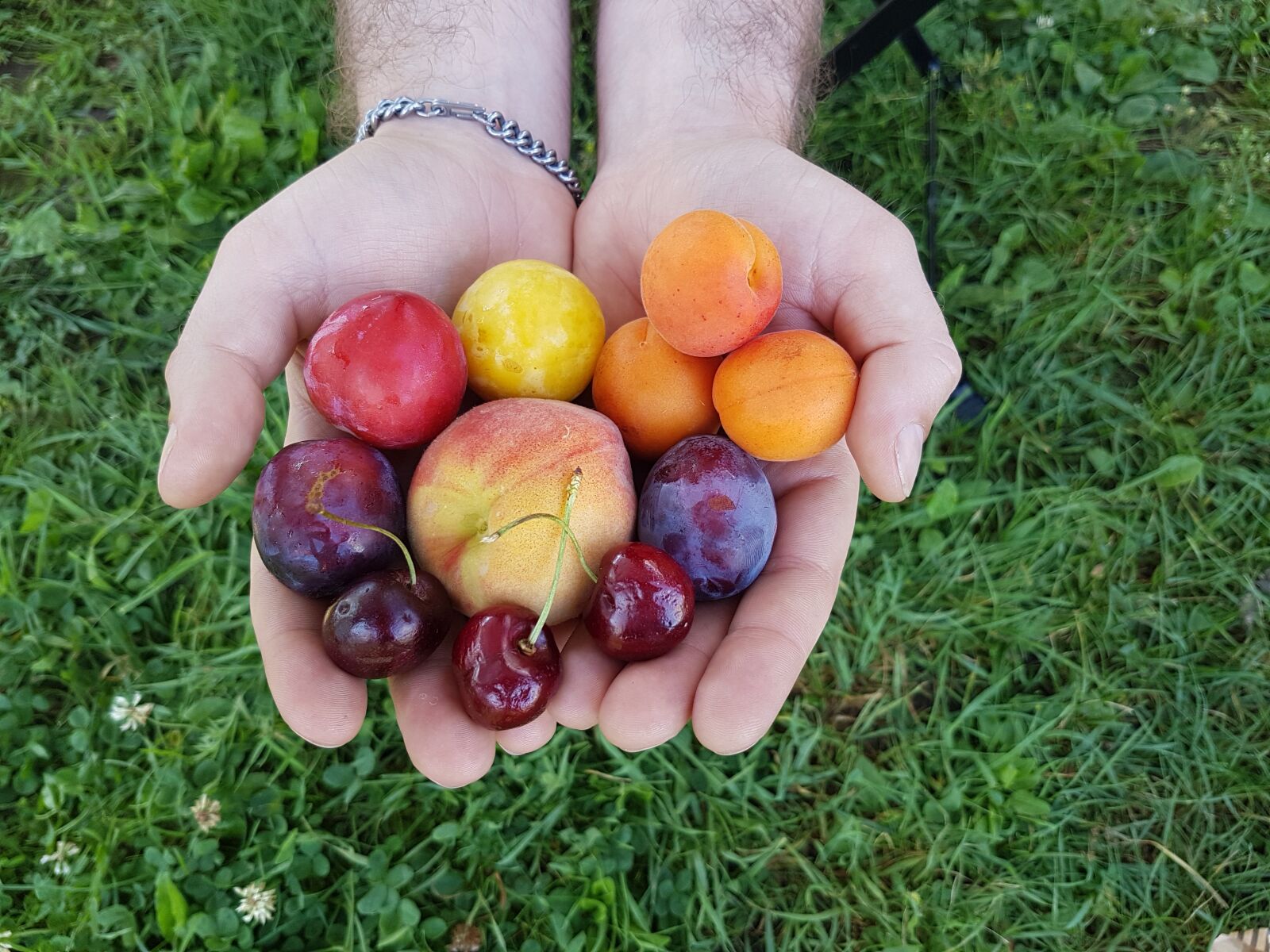 Samsung Galaxy S7 sample photo. Fruit, summer fruit, peach photography