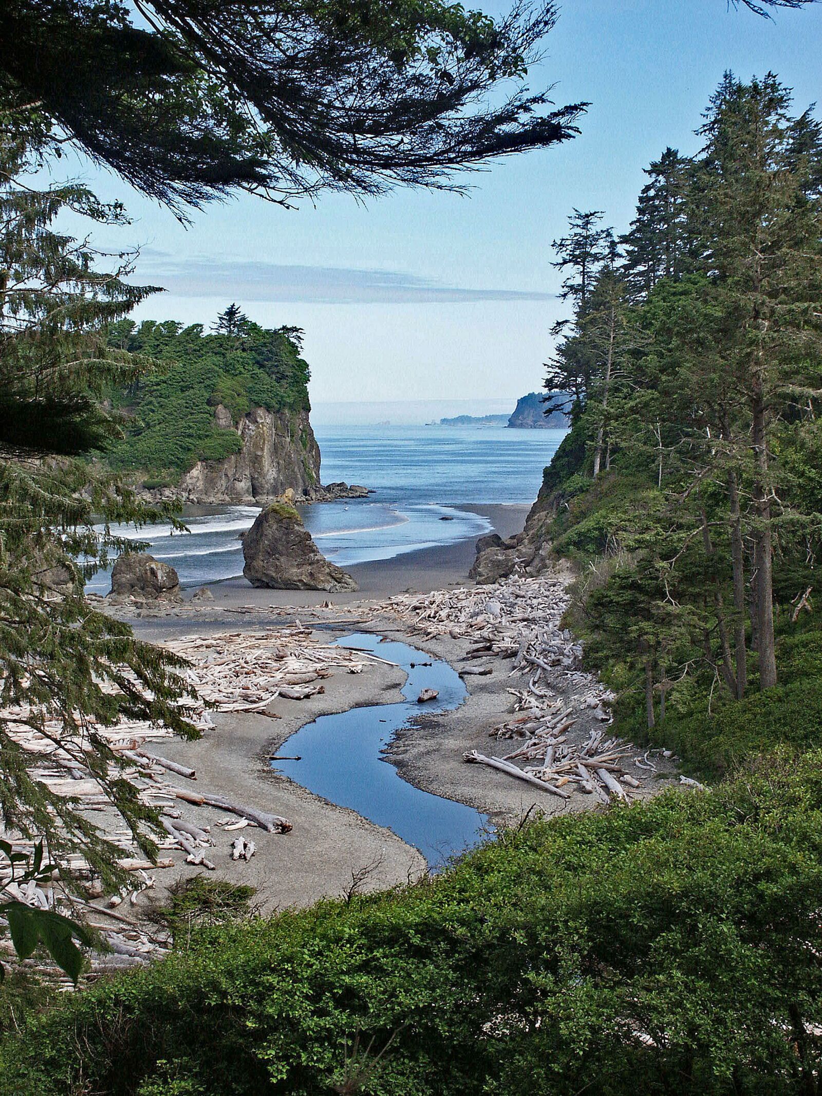 KONICA MINOLTA DiMAGE 7i sample photo. Washington, ruby, beach photography