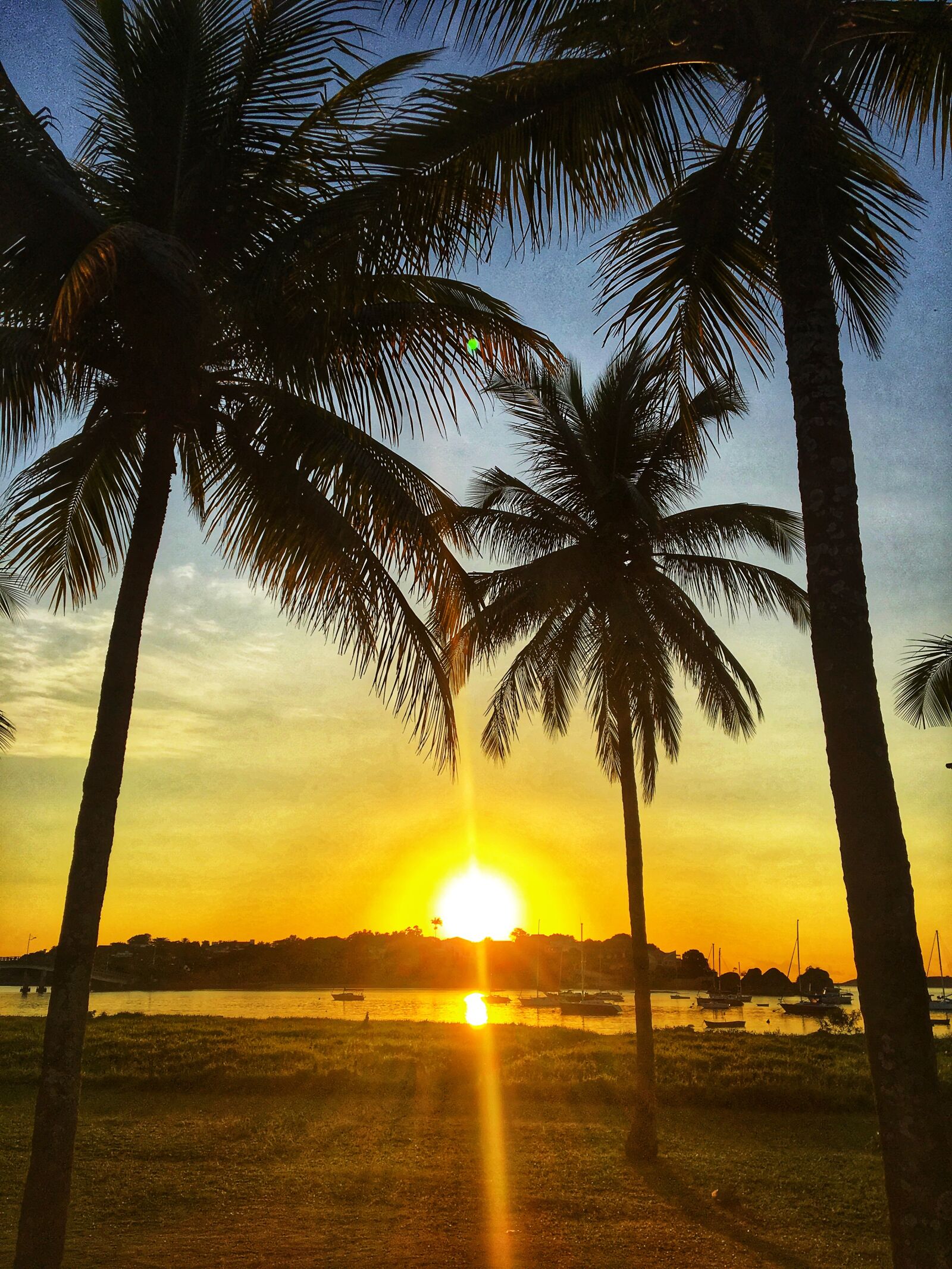 iPhone 6s back camera 4.15mm f/2.2 sample photo. Dawn, sol, victory photography