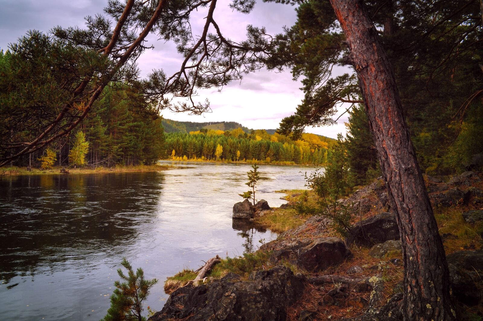 Nikon D5000 sample photo. Autumn, landscape, forest photography