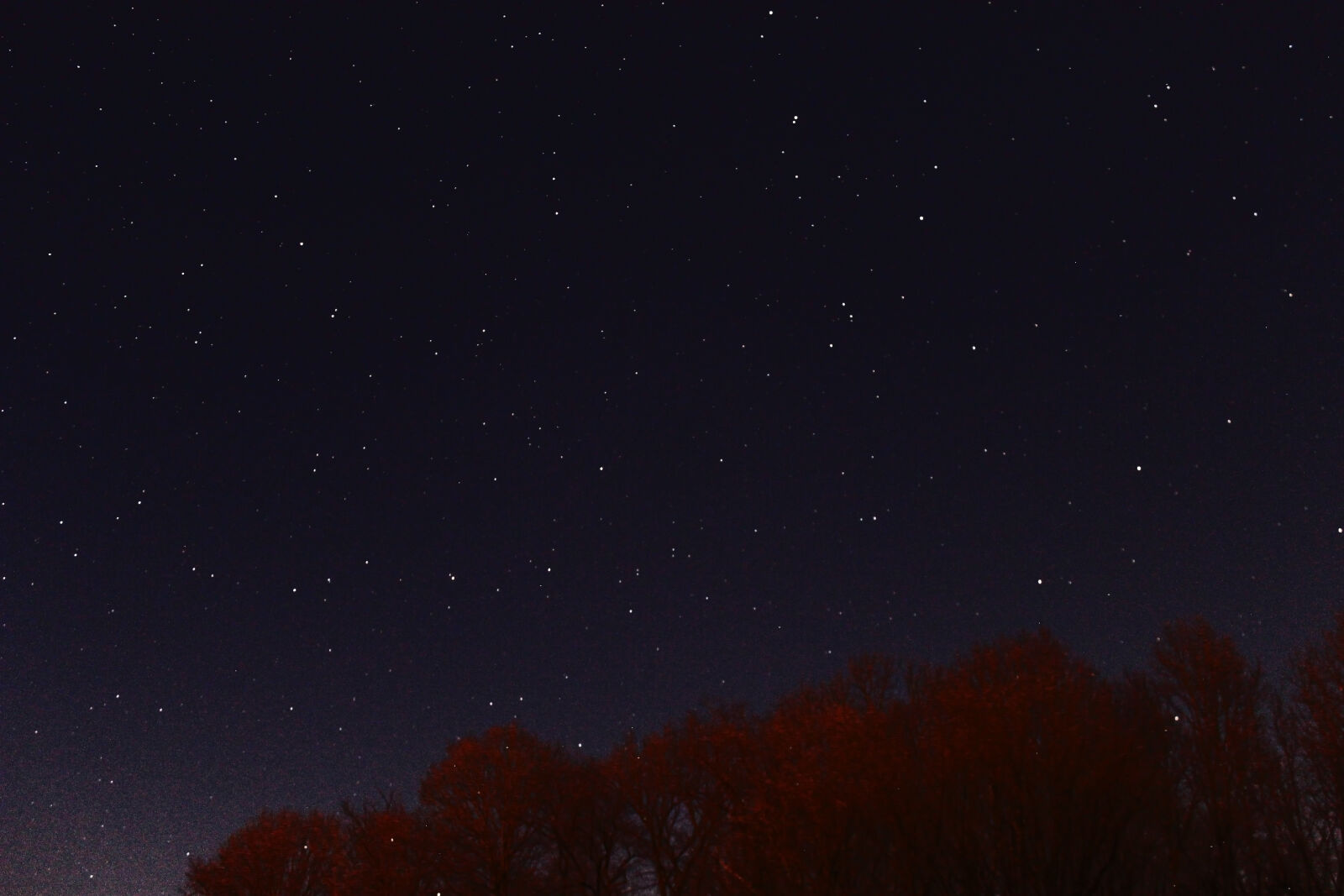 Canon EOS 600D (Rebel EOS T3i / EOS Kiss X5) sample photo. Sky, space, trees, stars photography