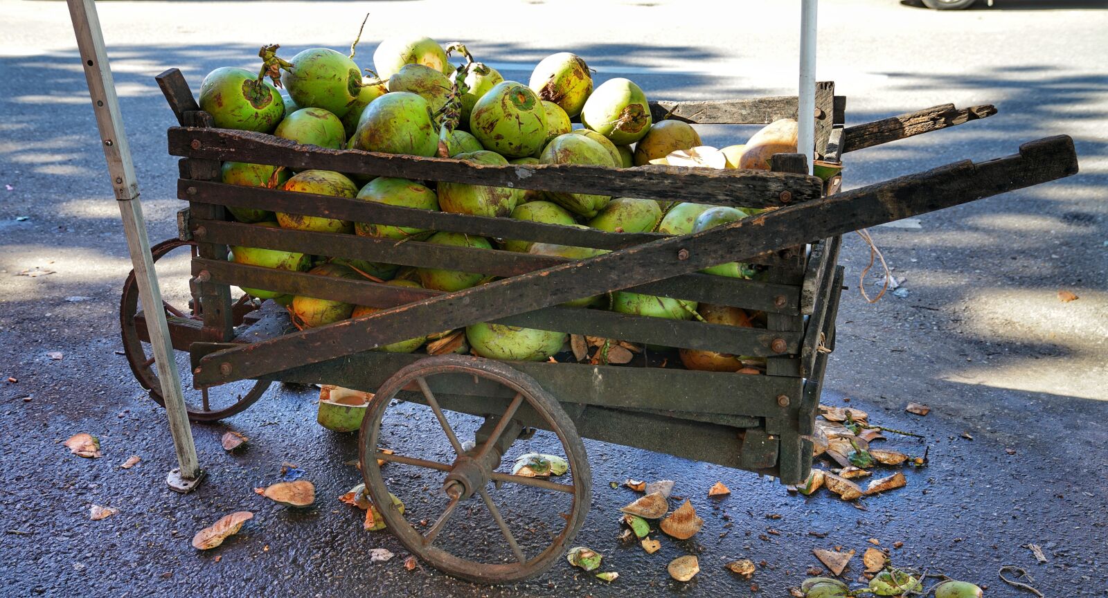 Sony a7R II + Sony FE 24-70mm F2.8 GM sample photo. Cart, wooden, coconuts photography