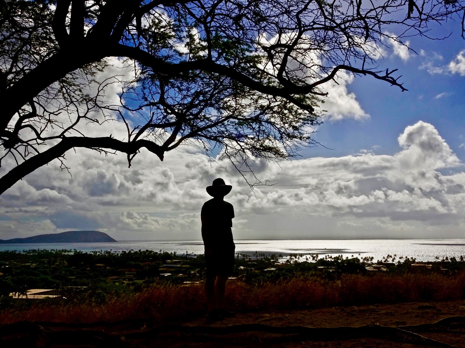 Sony Cyber-shot DSC-HX90V sample photo. Silhouette, view, sky photography