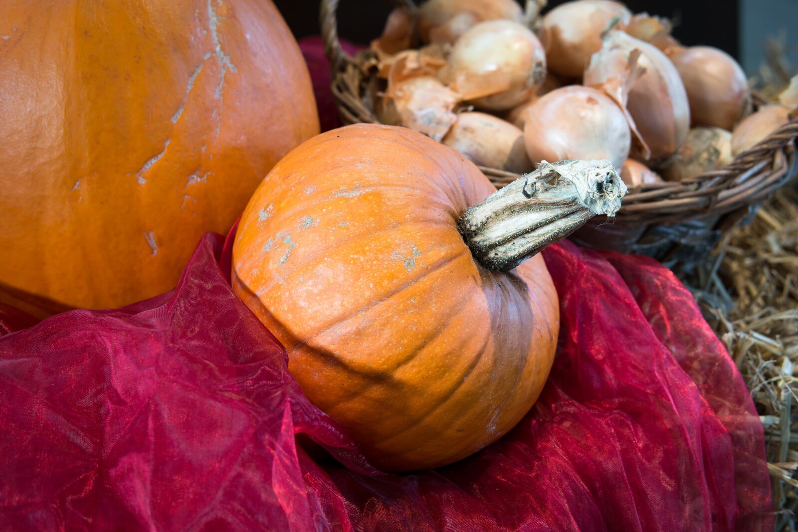 Samsung NX300M sample photo. Pumpkin, onions, thanksgiving photography