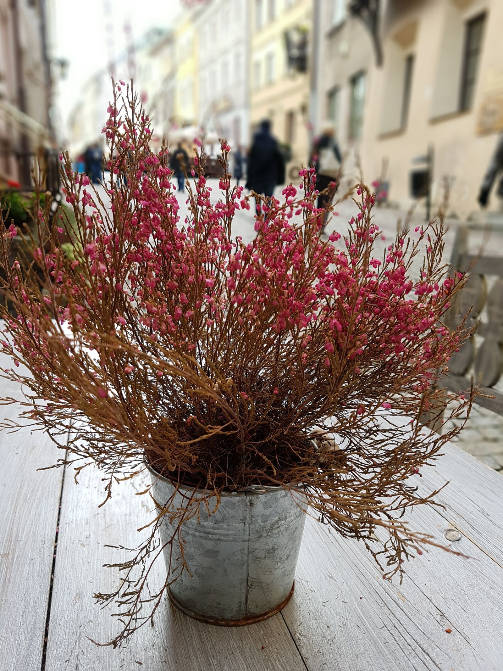 Samsung Galaxy S7 Edge sample photo. Flowers, street, bright colors photography