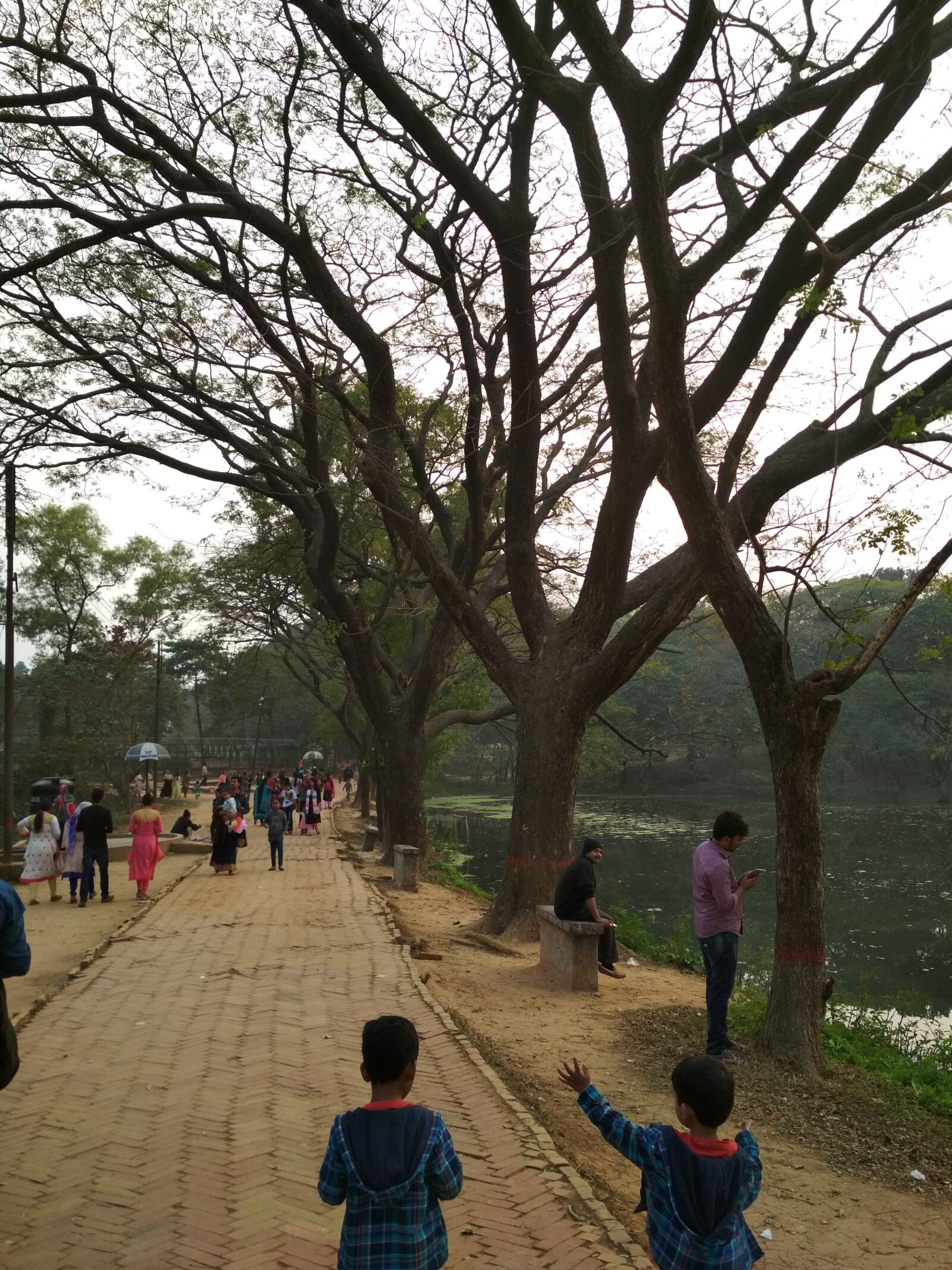 Xiaomi Redmi 4X sample photo. Travel, zoo, jungle photography