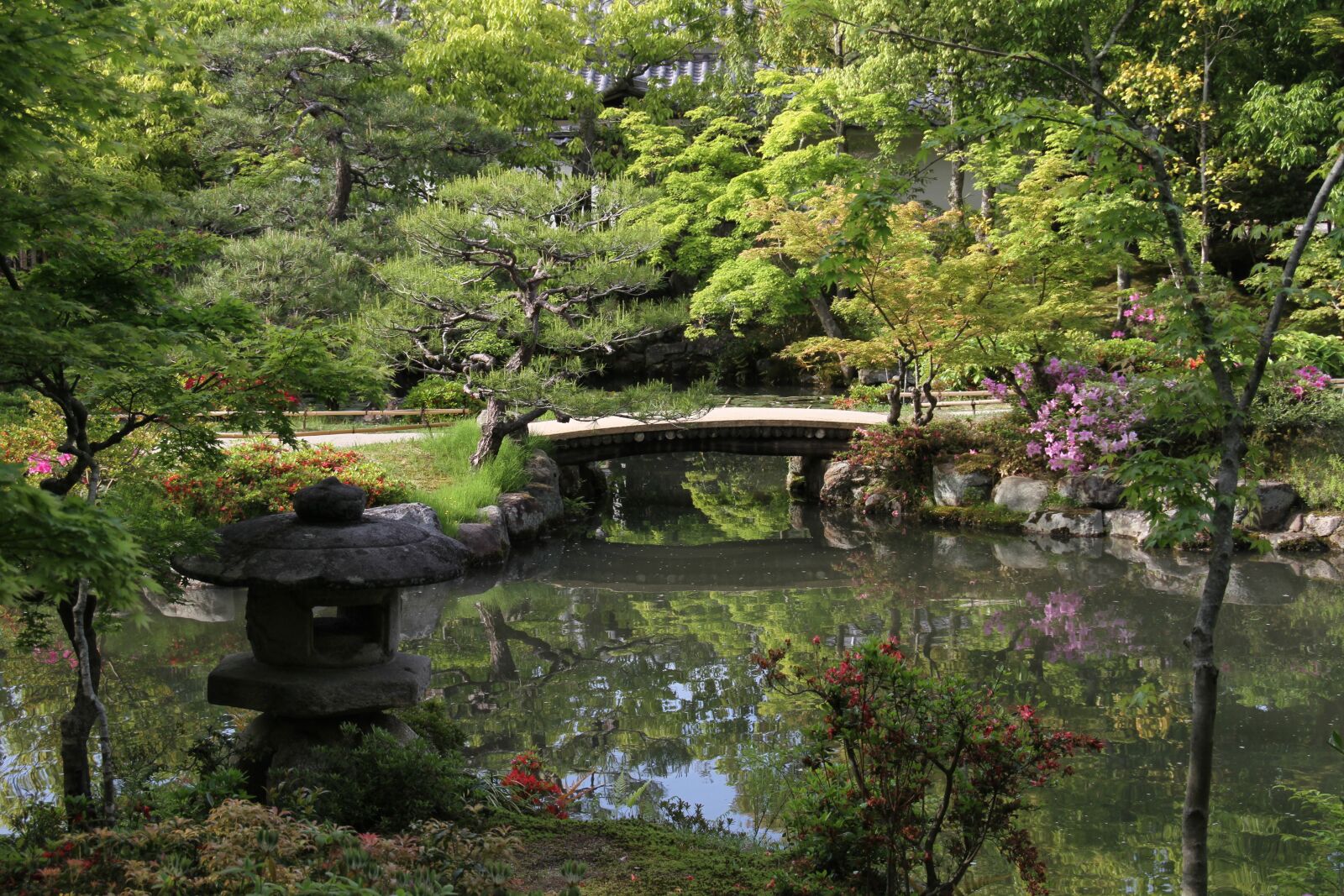 Canon EOS 7D sample photo. Garden, japanese, reflection photography