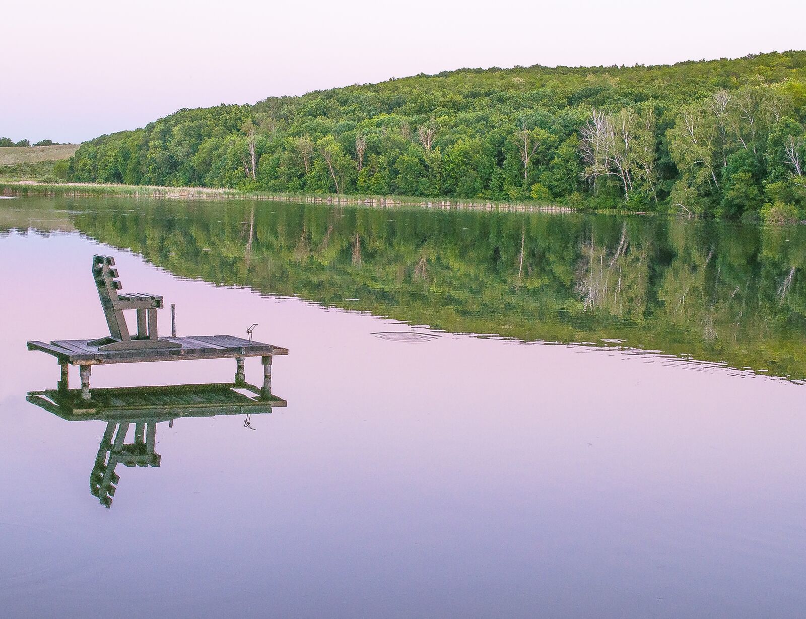 Nikon D90 sample photo. Lake, forest, chair photography
