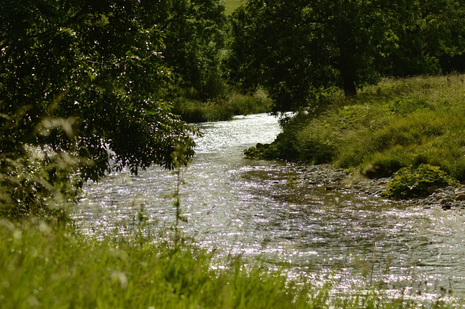 Nikon D3200 sample photo. Bright, river, river, riverbank photography